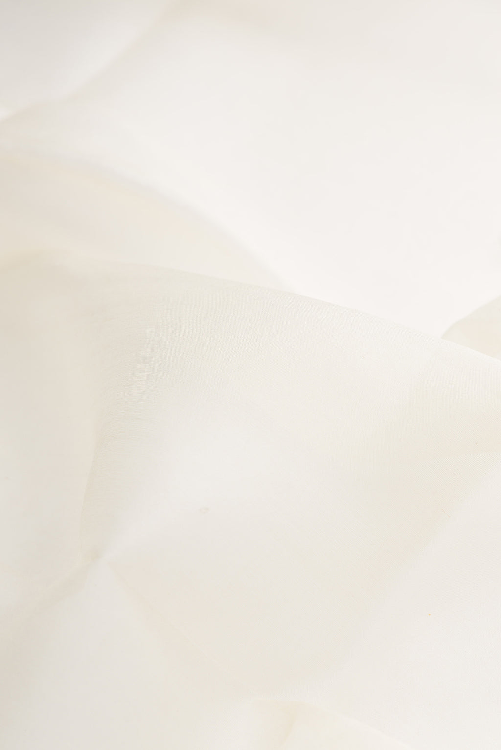 Close up of Off White Dual Tone Organza Saree with Plain Body and Fancy Border.  displaying folds