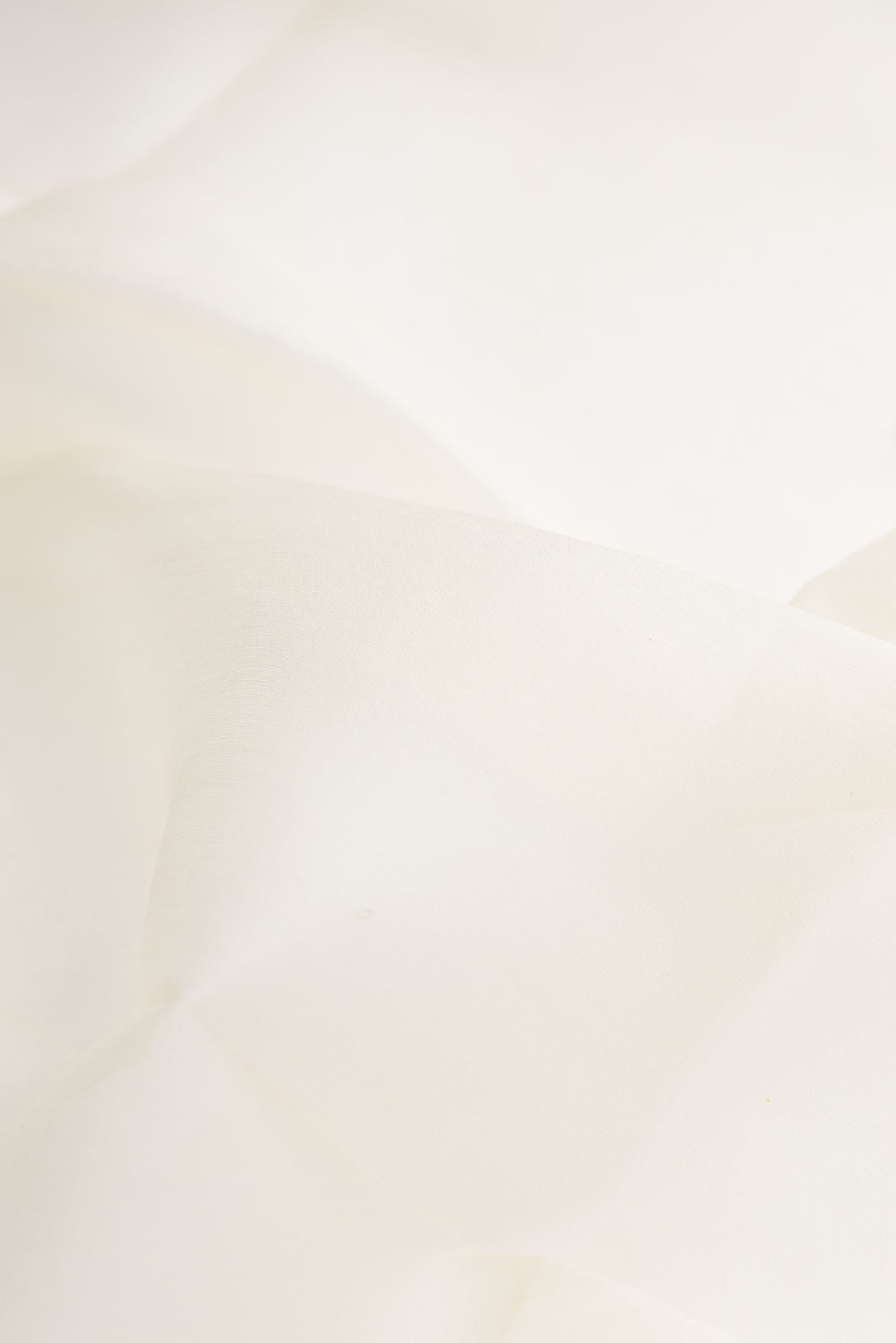 Close up of Off White Dual Tone Organza Saree with Plain Body and Fancy Border.  displaying folds