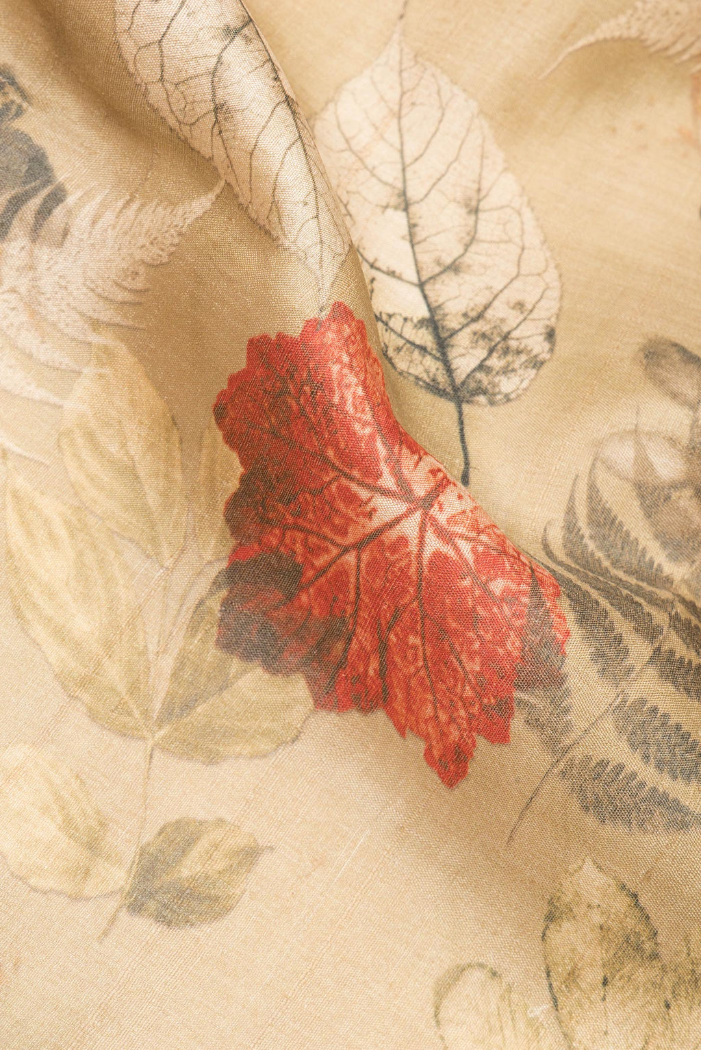 Close up of Golden Tussar Saree with Printed design on the body and Zari Border.  displaying folds