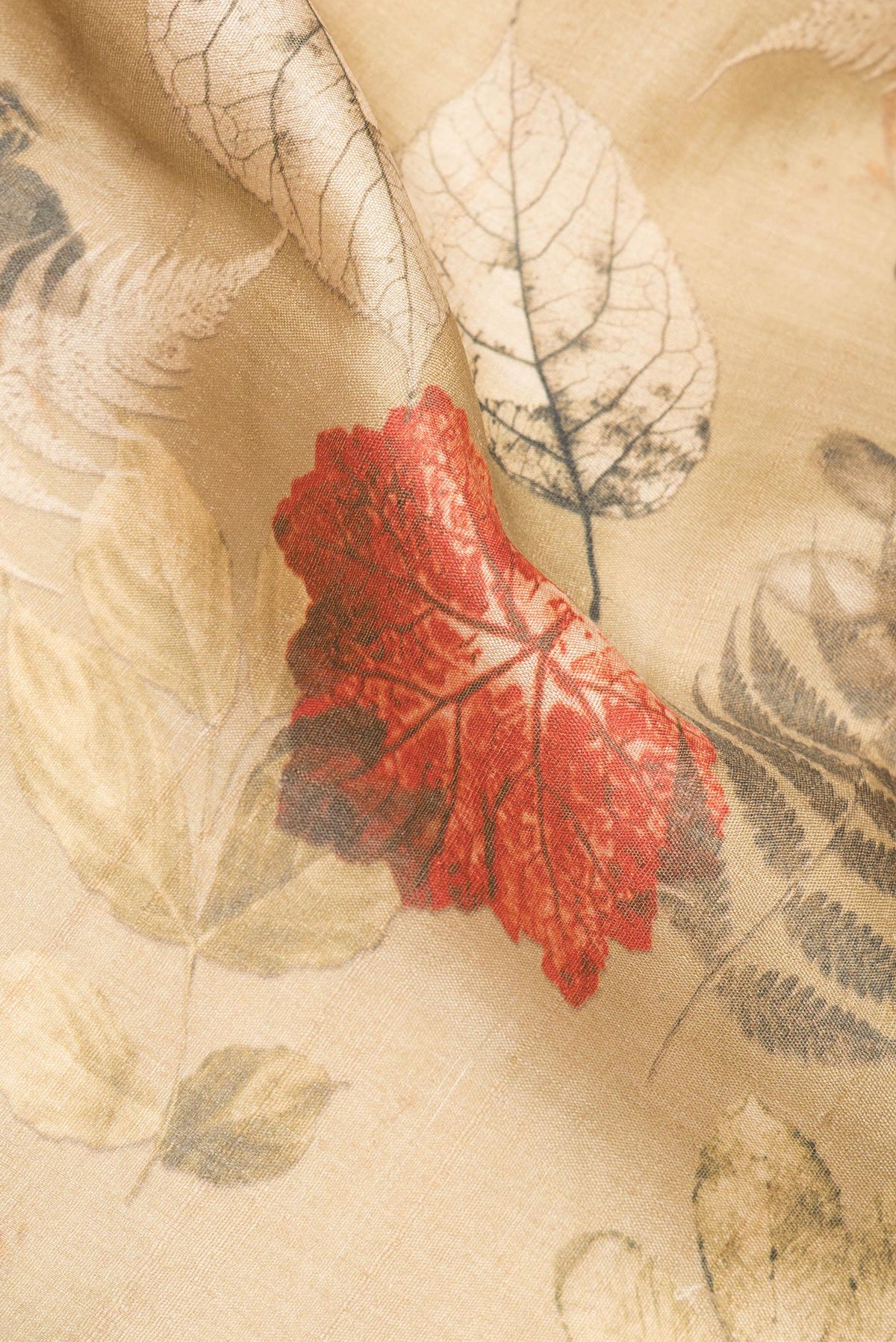 Close up of Golden Tussar Saree with Printed design on the body and Zari Border.  displaying folds