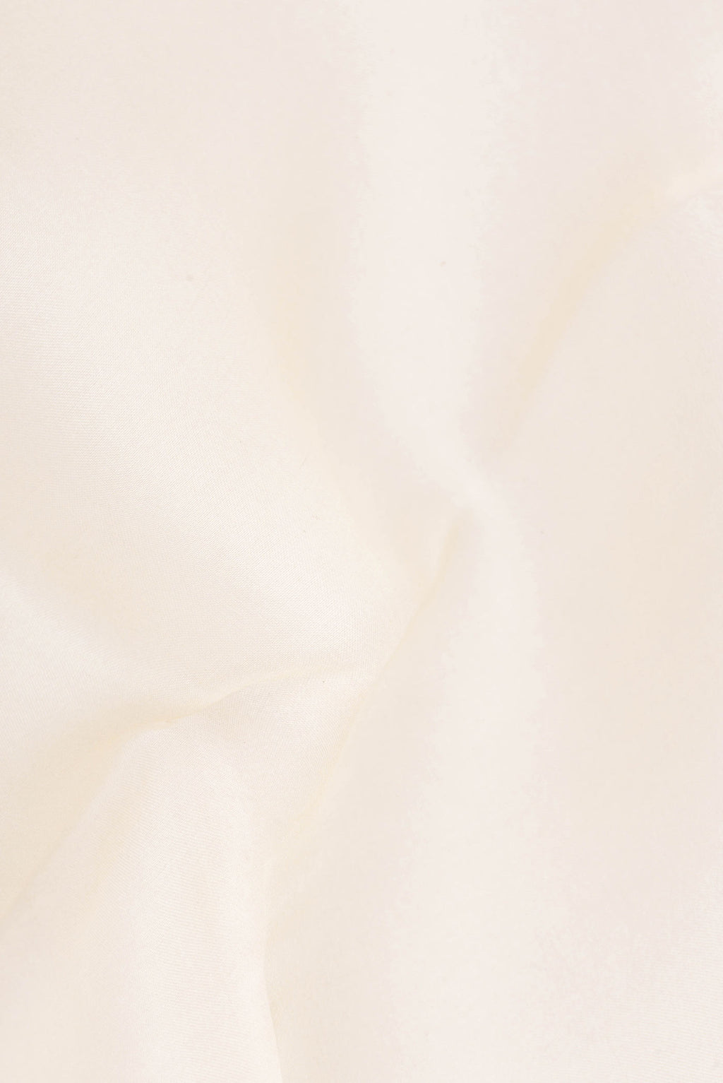 Close up of Cream Organza Saree with Printed design on the body and Fancy Border.  displaying folds