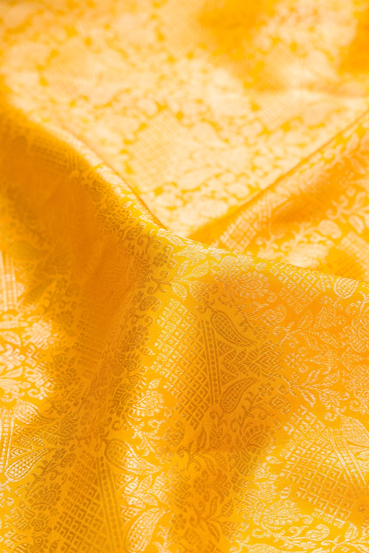 Close up of Pure Silk Yellow Kanchipuram Saree with Zari Brocade on the body and Fancy Border.  displaying folds
