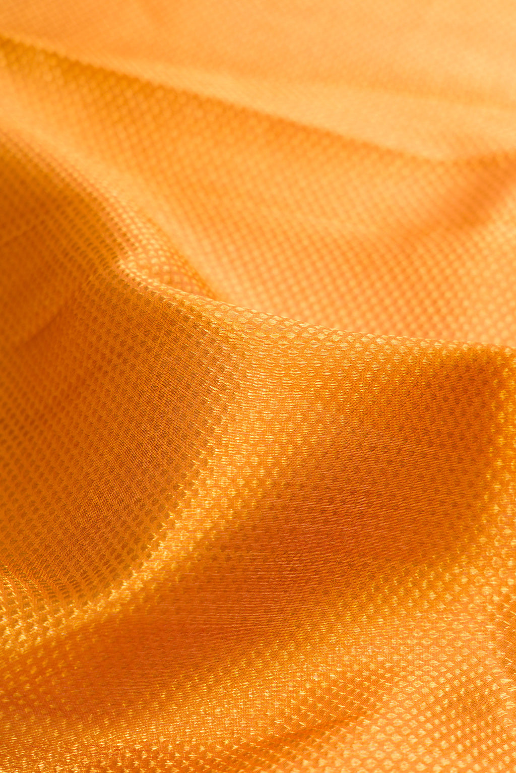 Close up of Mustard Kanchipuram Tissue Saree with Zari Brocade on the body and Zari Border.  displaying folds