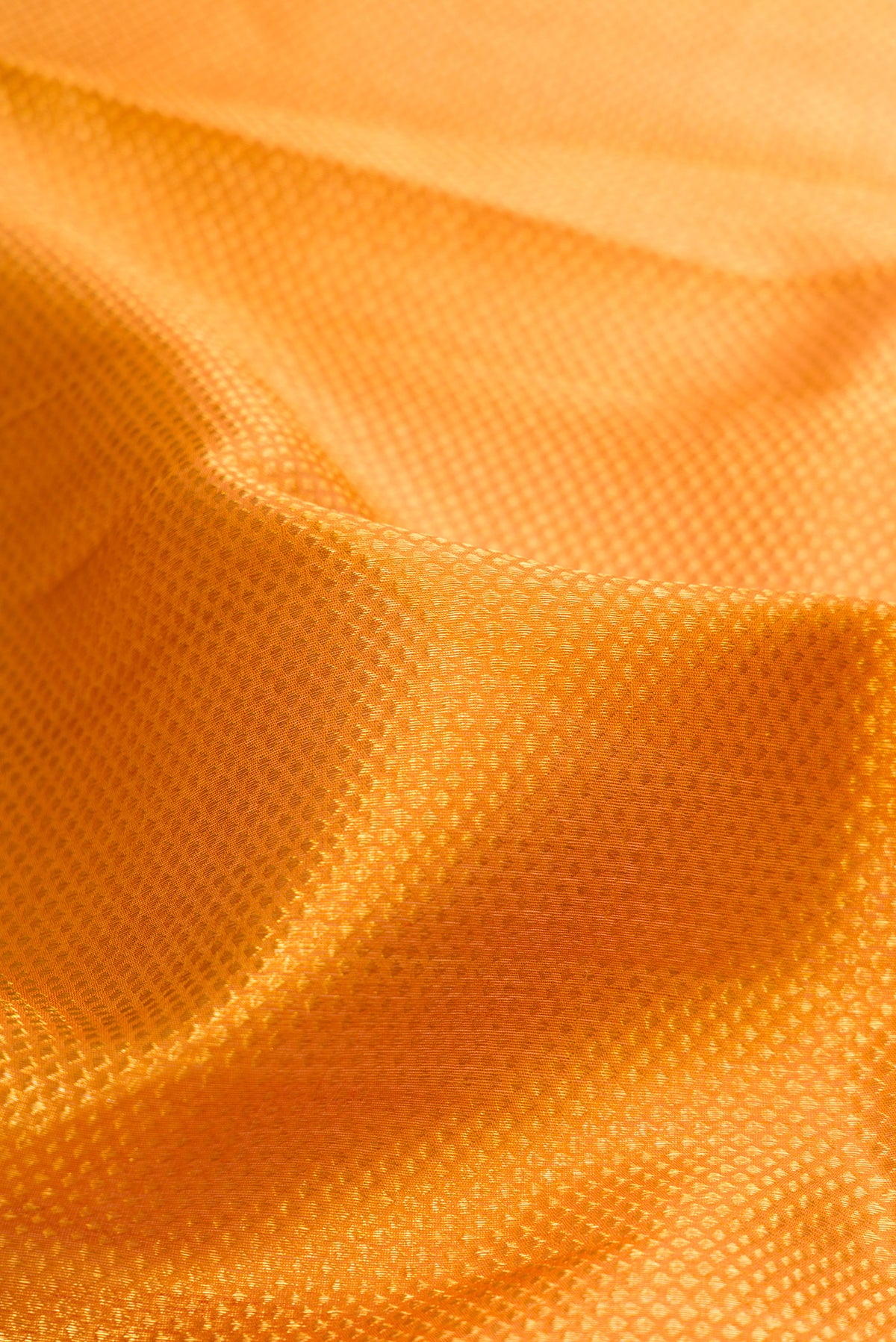 Close up of Mustard Kanchipuram Tissue Saree with Zari Brocade on the body and Zari Border.  displaying folds