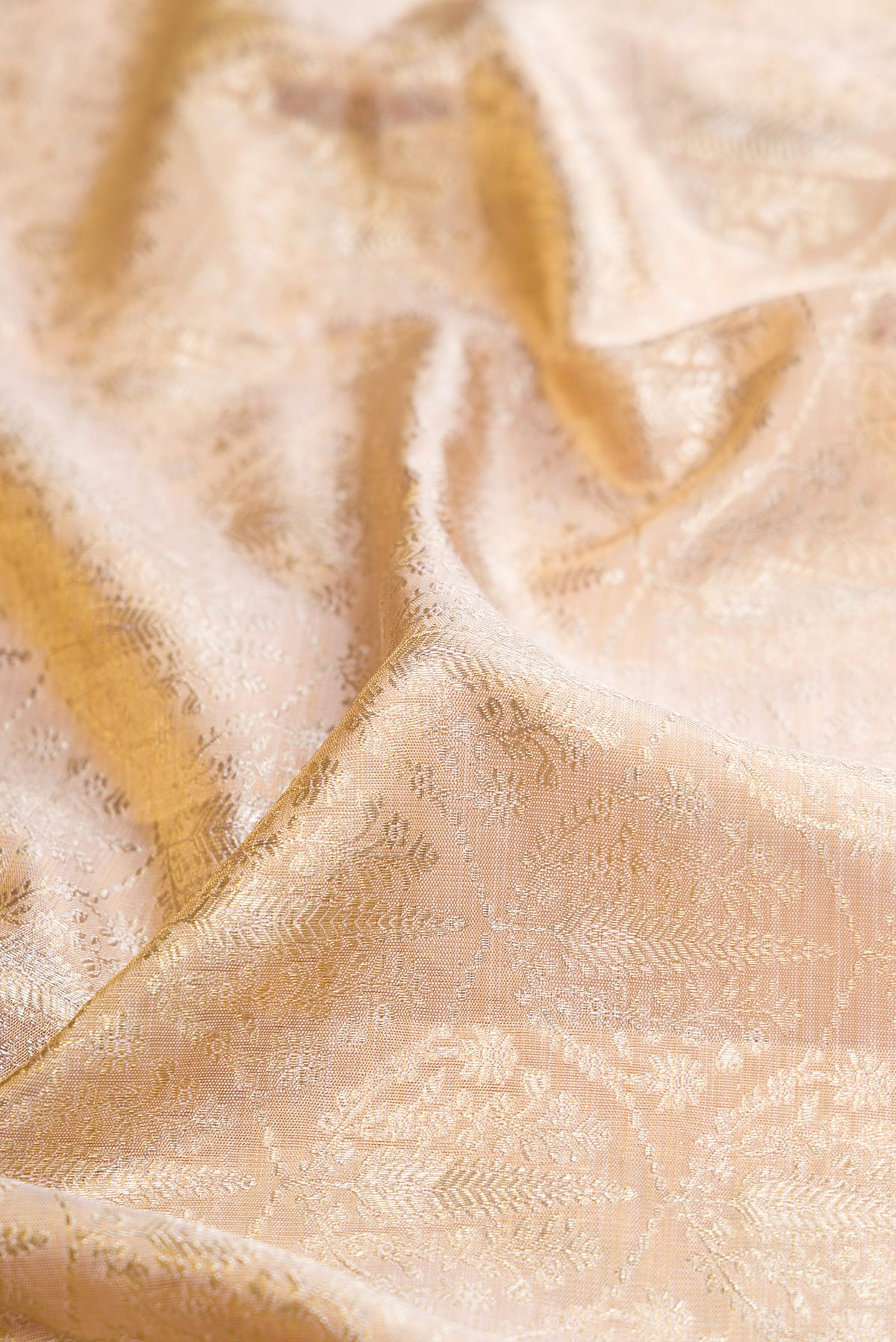 Close up of Golden Peach Kanjivaram Tissue Silk Saree with Zari Brocade on the body and Zari Border.  displaying folds
