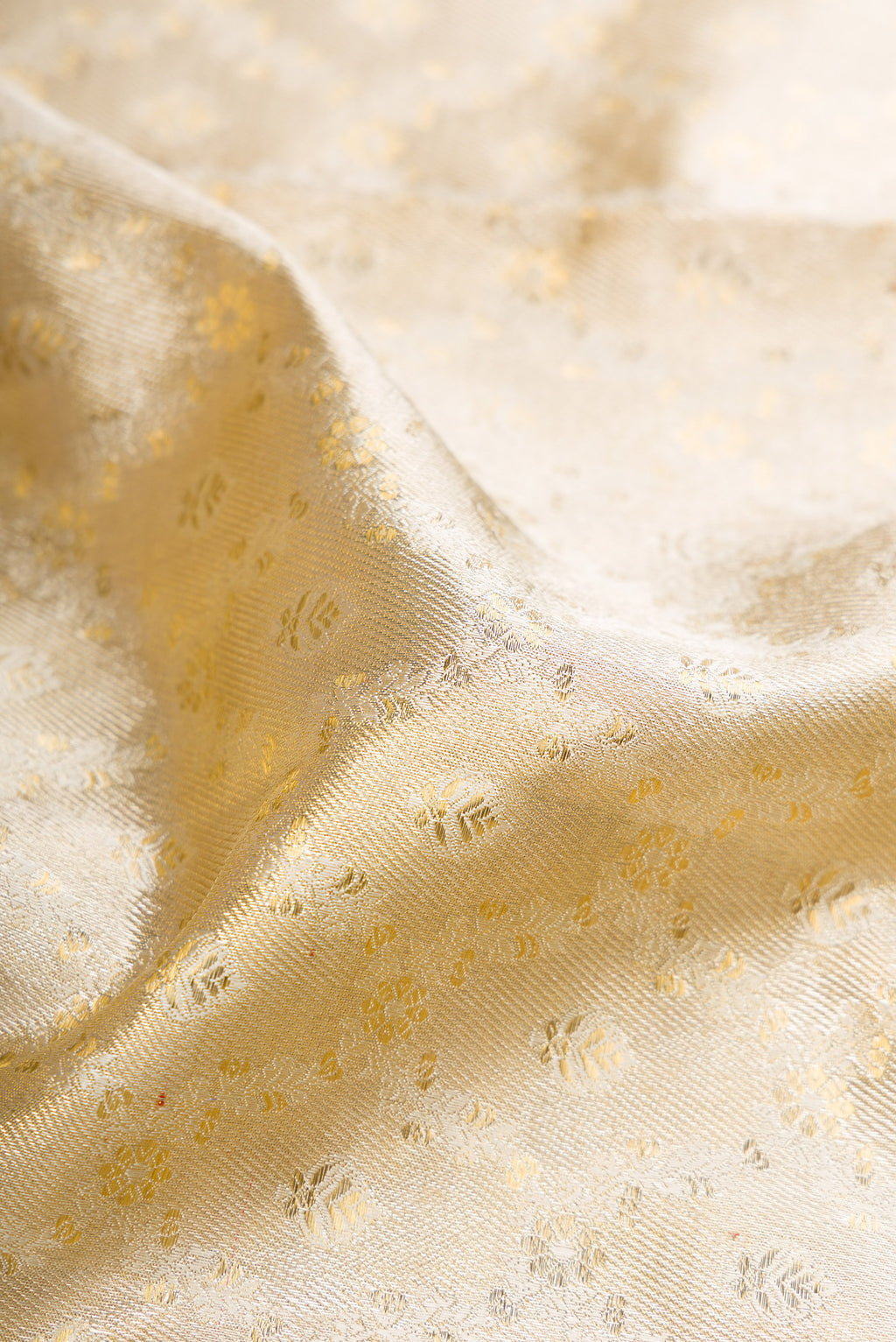 Close up of Off White Dual Tone Kanjivaram Tissue Silk Saree with Zari Brocade on the body and Fancy Border.  displaying folds