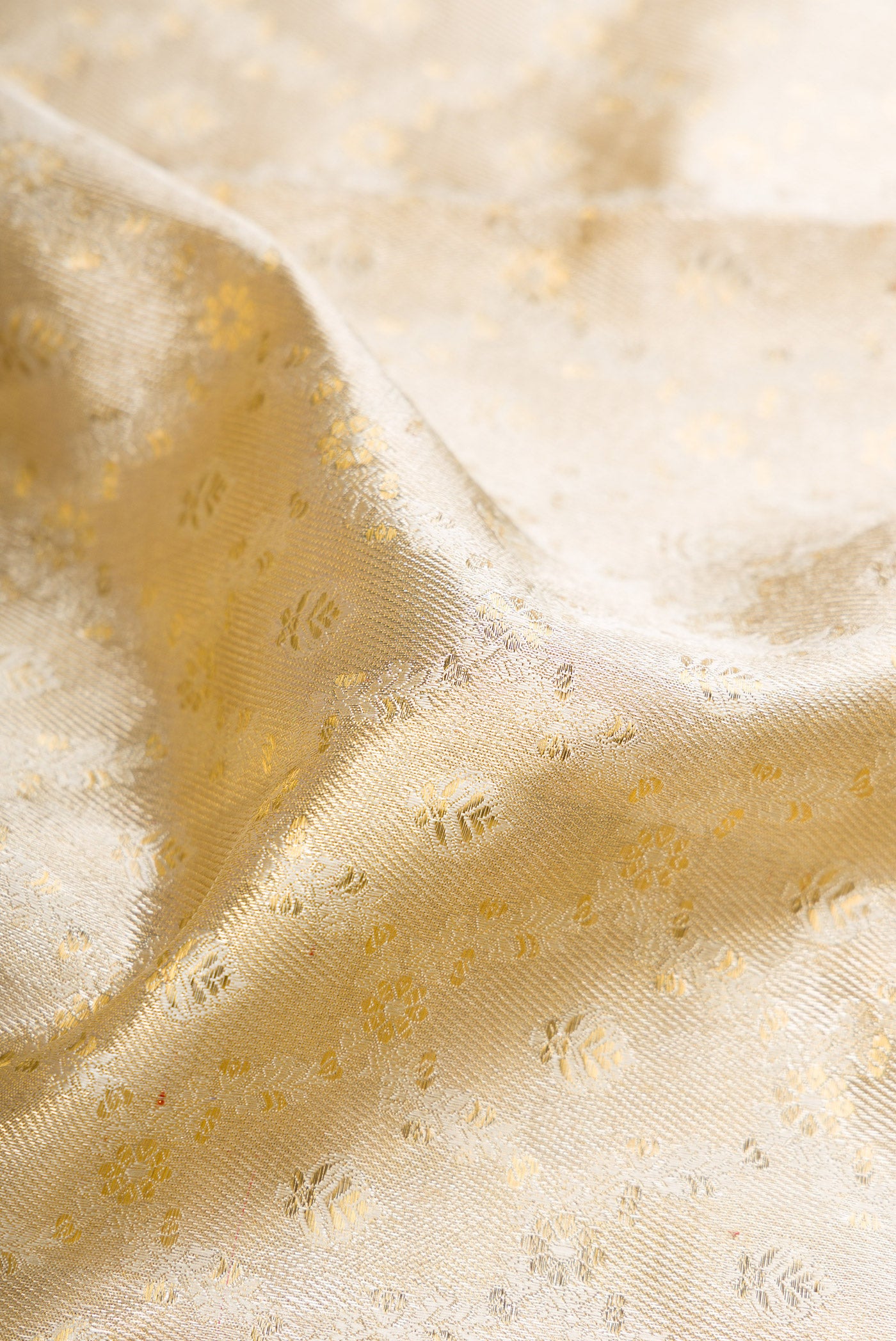 Close up of Off White Dual Tone Kanjivaram Tissue Silk Saree with Zari Brocade on the body and Fancy Border.  displaying folds