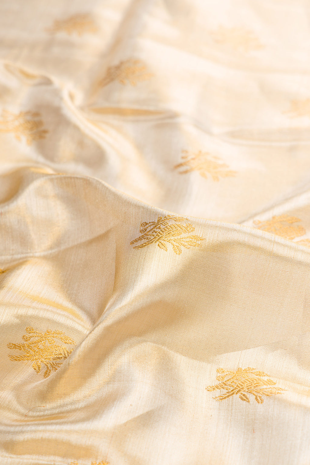 Close up of Gold Kanjivaram Tissue Silk Saree with Zari Brocade on the body and Paithani Border.  displaying folds