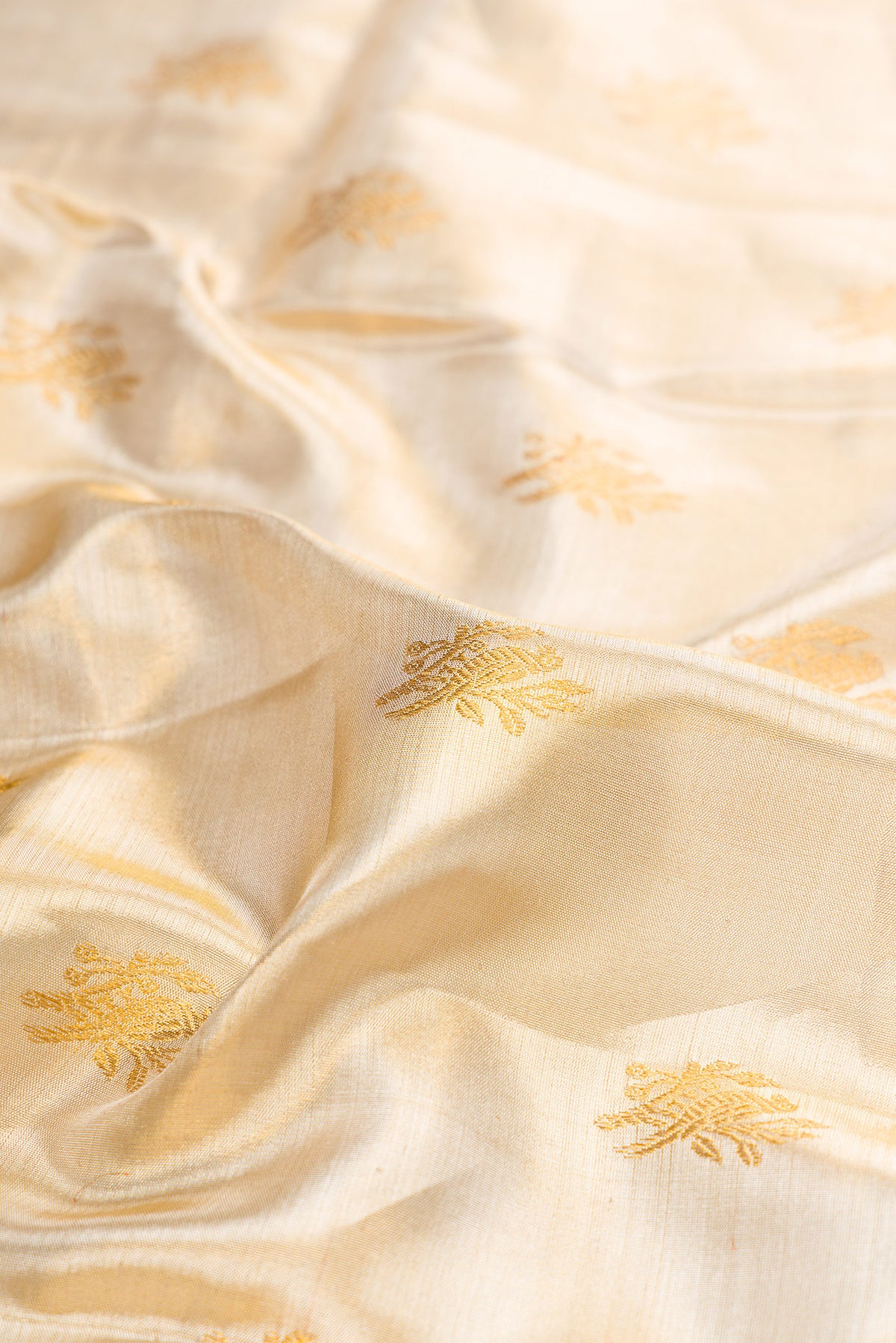Close up of Gold Kanjivaram Tissue Silk Saree with Zari Brocade on the body and Paithani Border.  displaying folds