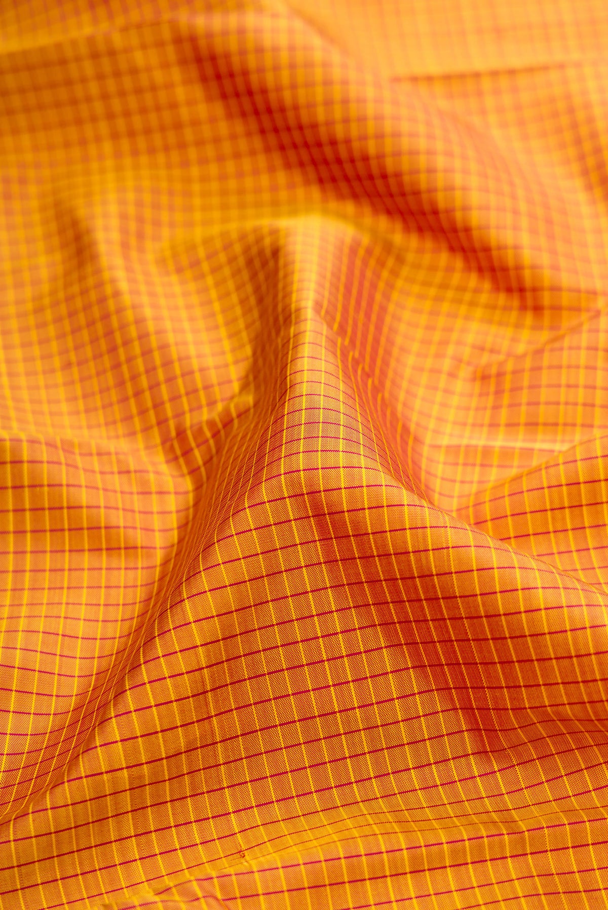 Close up of Pure Silk Mustard Kanchipuram Saree with Checked design on the body and Plain Border.  displaying folds