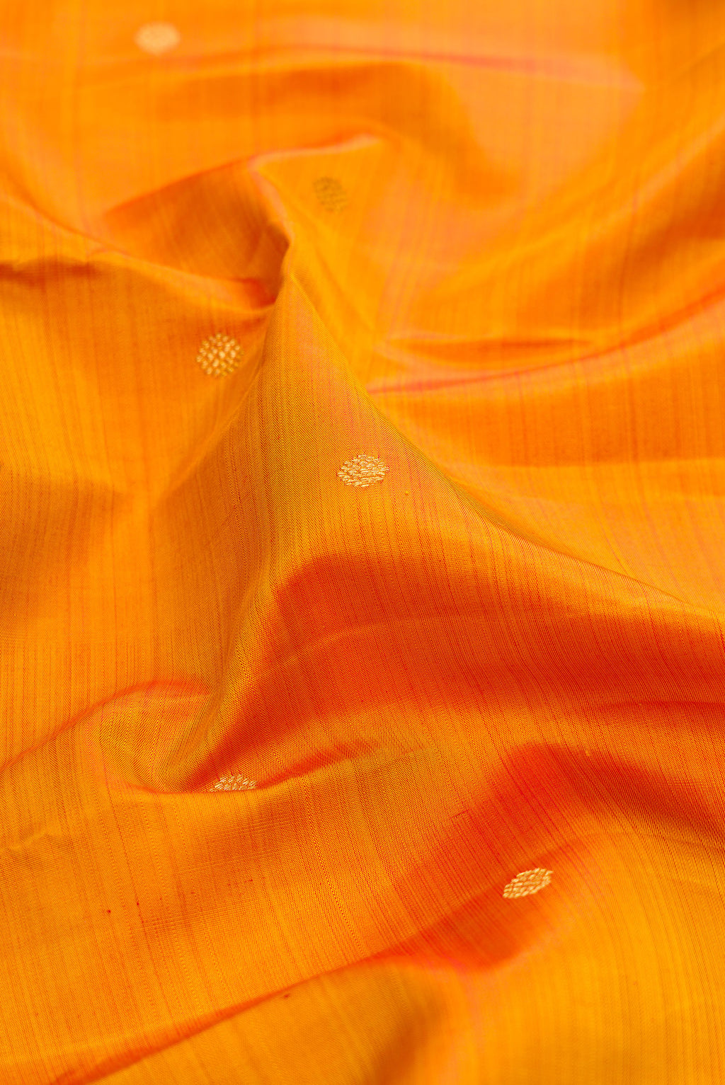 Close up of Mustard Kanjivaram Silk Saree with Zari Butta on the body and Zari Border.  displaying folds