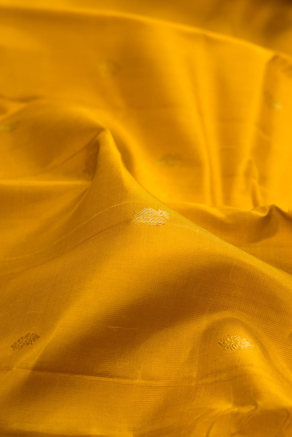 Close up of Mustard Kanchipuram Silk Saree with Zari Butta on the body and Zari Border.  displaying folds