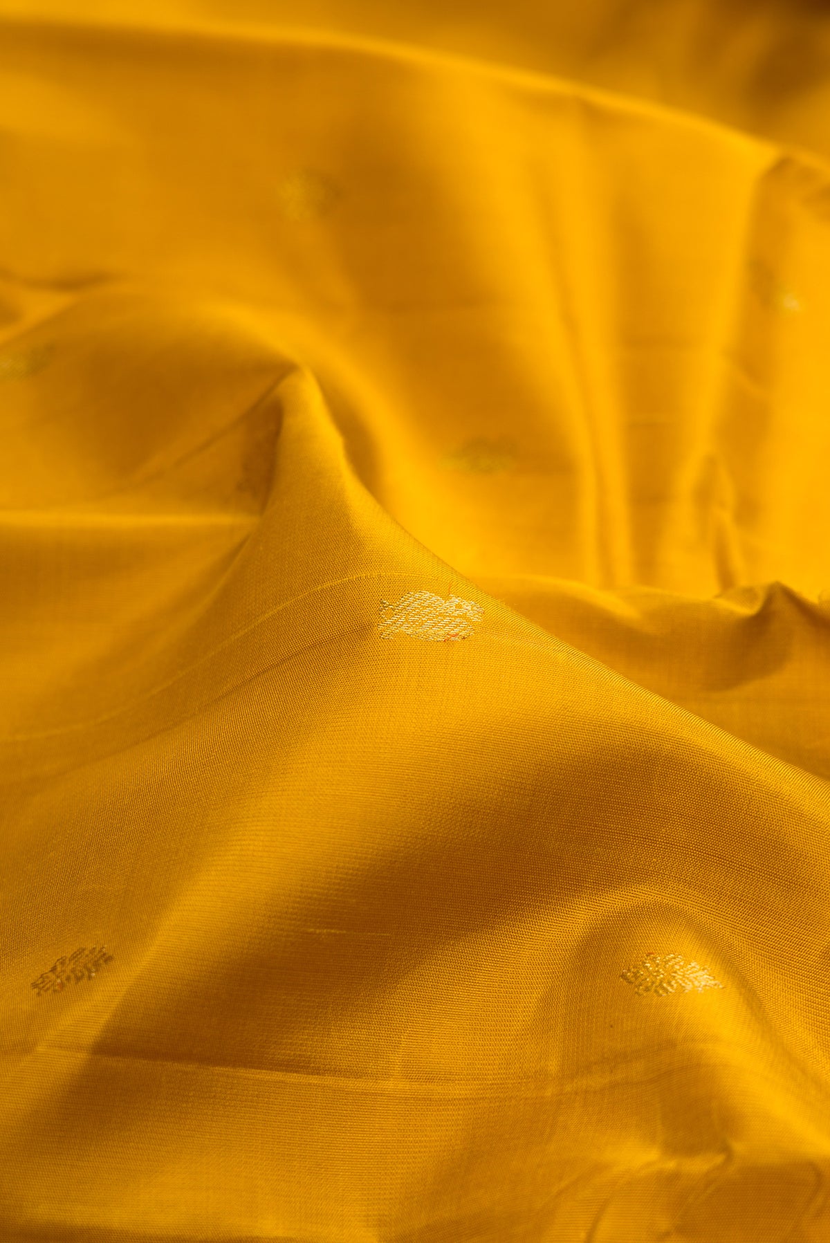 Close up of Mustard Kanchipuram Silk Saree with Zari Butta on the body and Zari Border.  displaying folds