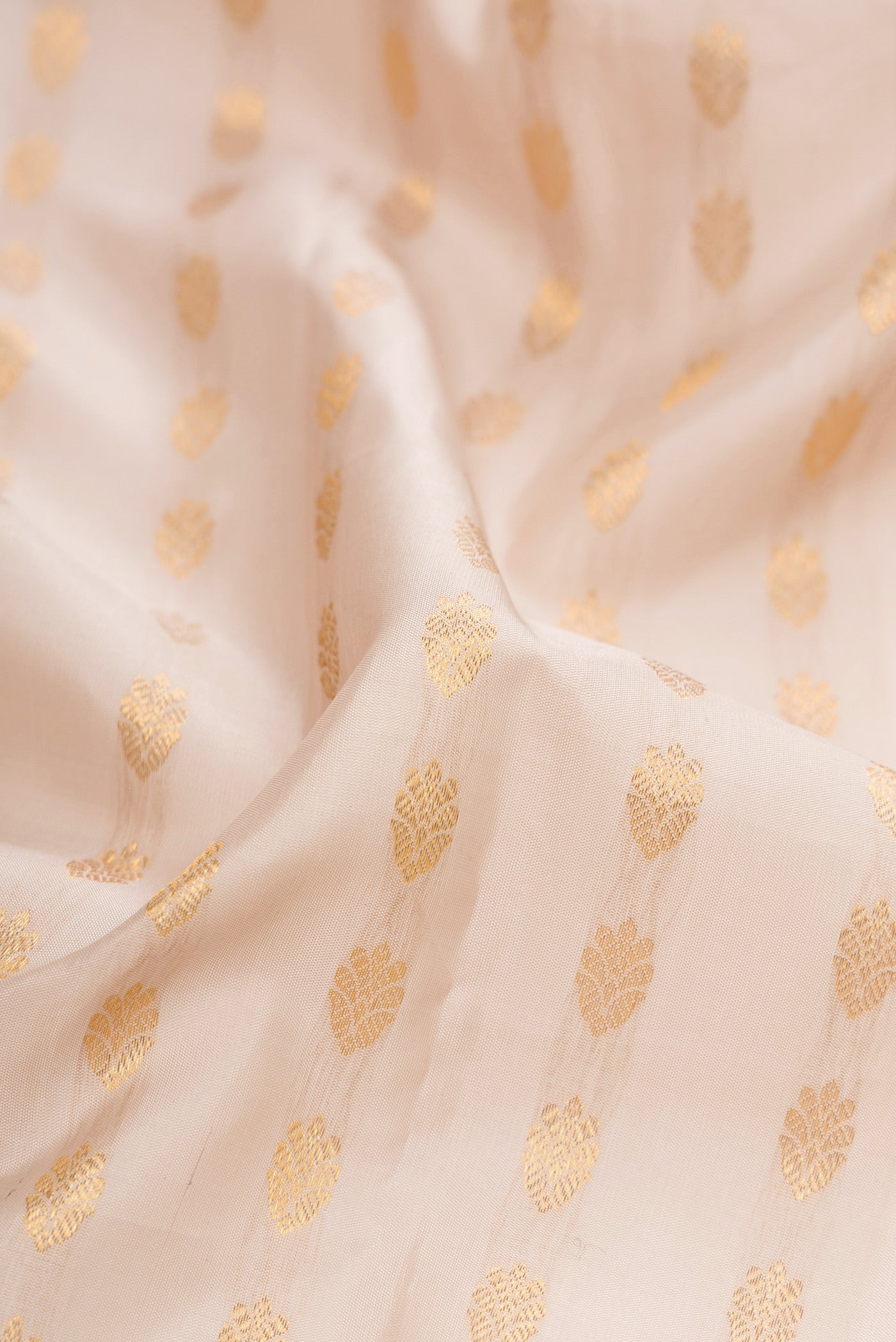 Close up of Dark Beige Kanjivaram Silk Saree with Zari Butta on the body and Zari And Thread Border.  displaying folds