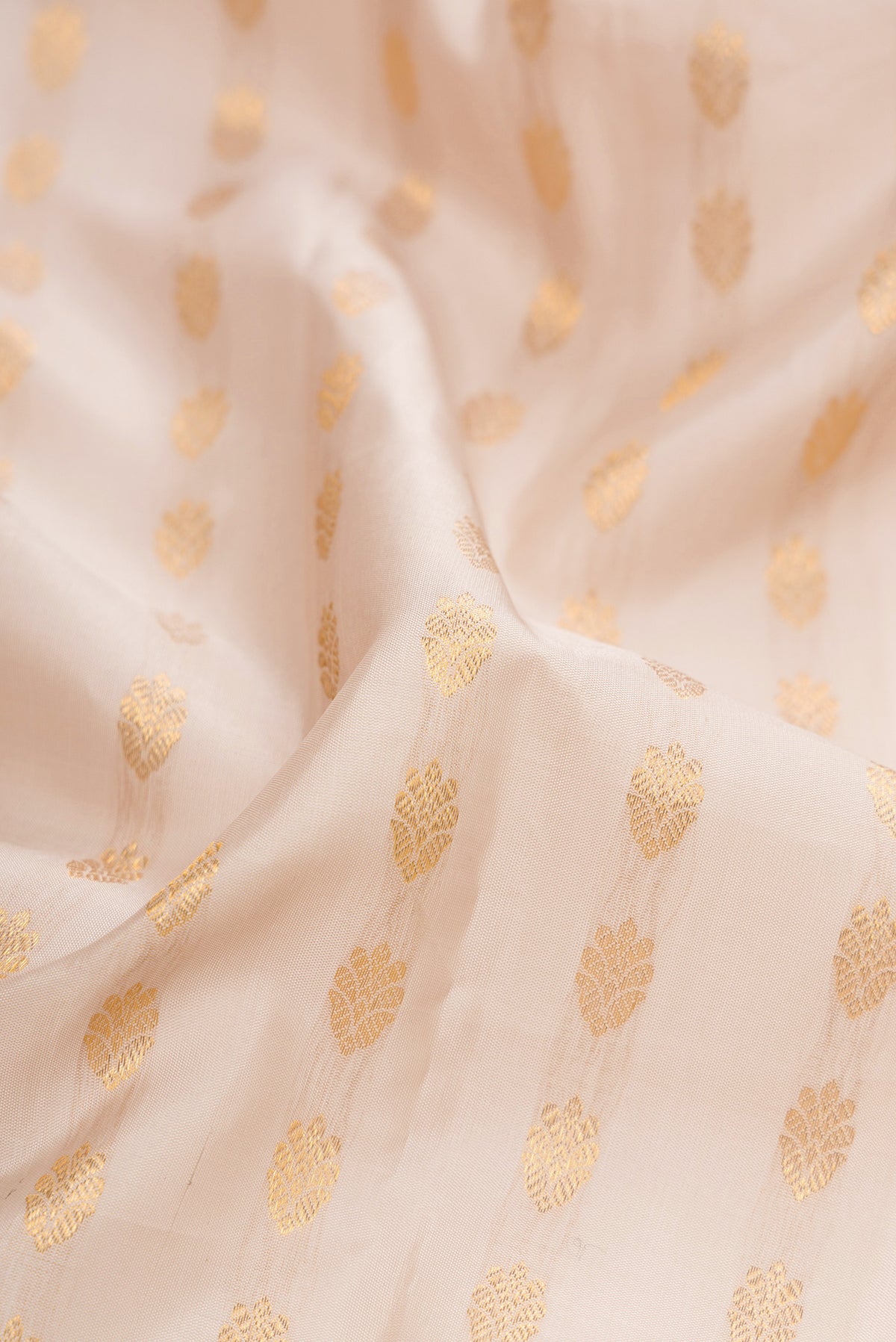Close up of Dark Beige Kanjivaram Silk Saree with Zari Butta on the body and Zari And Thread Border.  displaying folds
