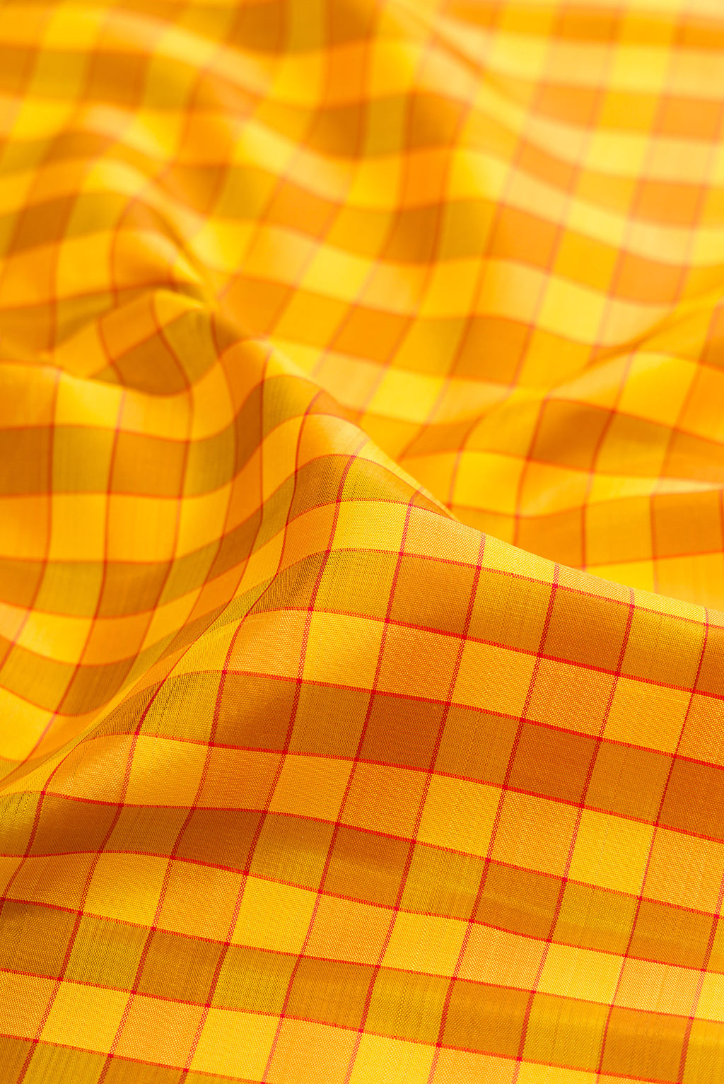 Close up of Yellow Kanjivaram Silk Saree with Checked design on the body and Zari Border.  displaying folds