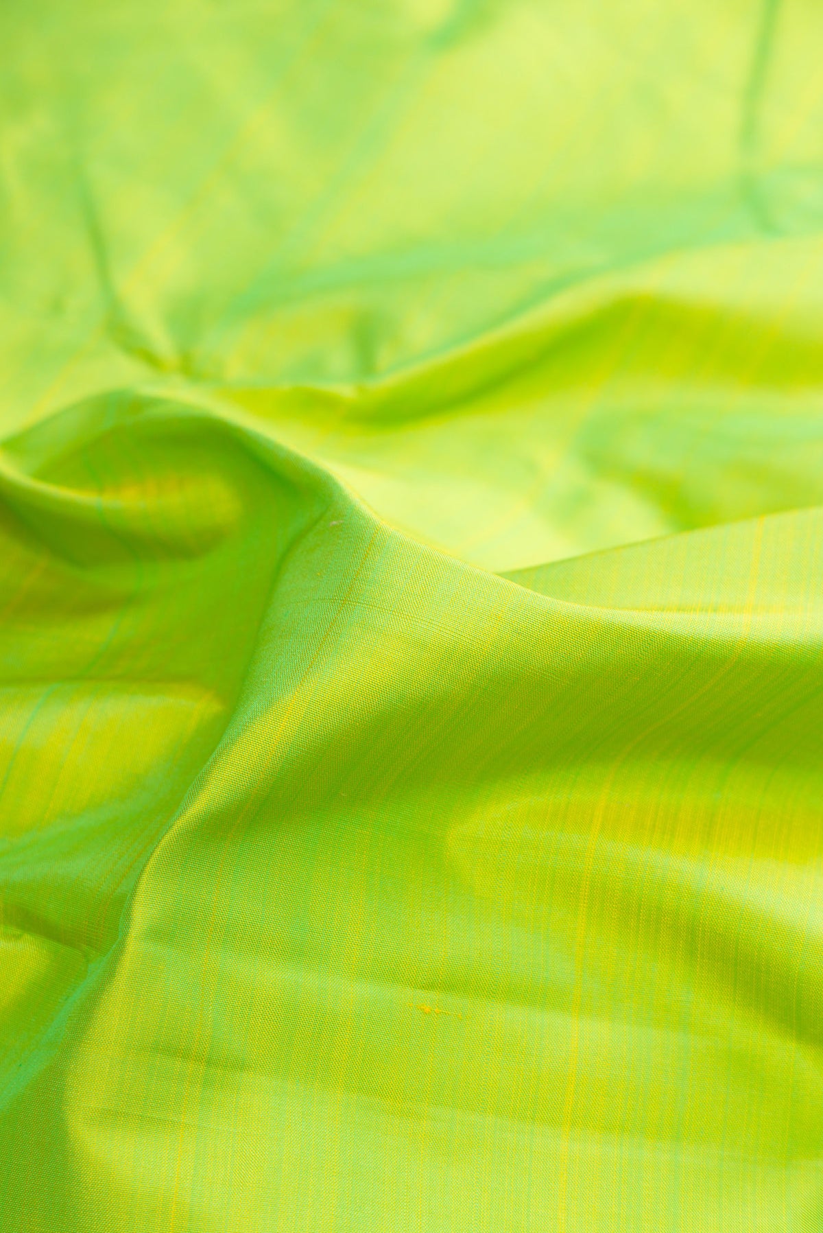 Close up of Pure Silk Pure Zari Parrot Green Kanjivaram Saree with Plain Body and One Side Border.  displaying folds