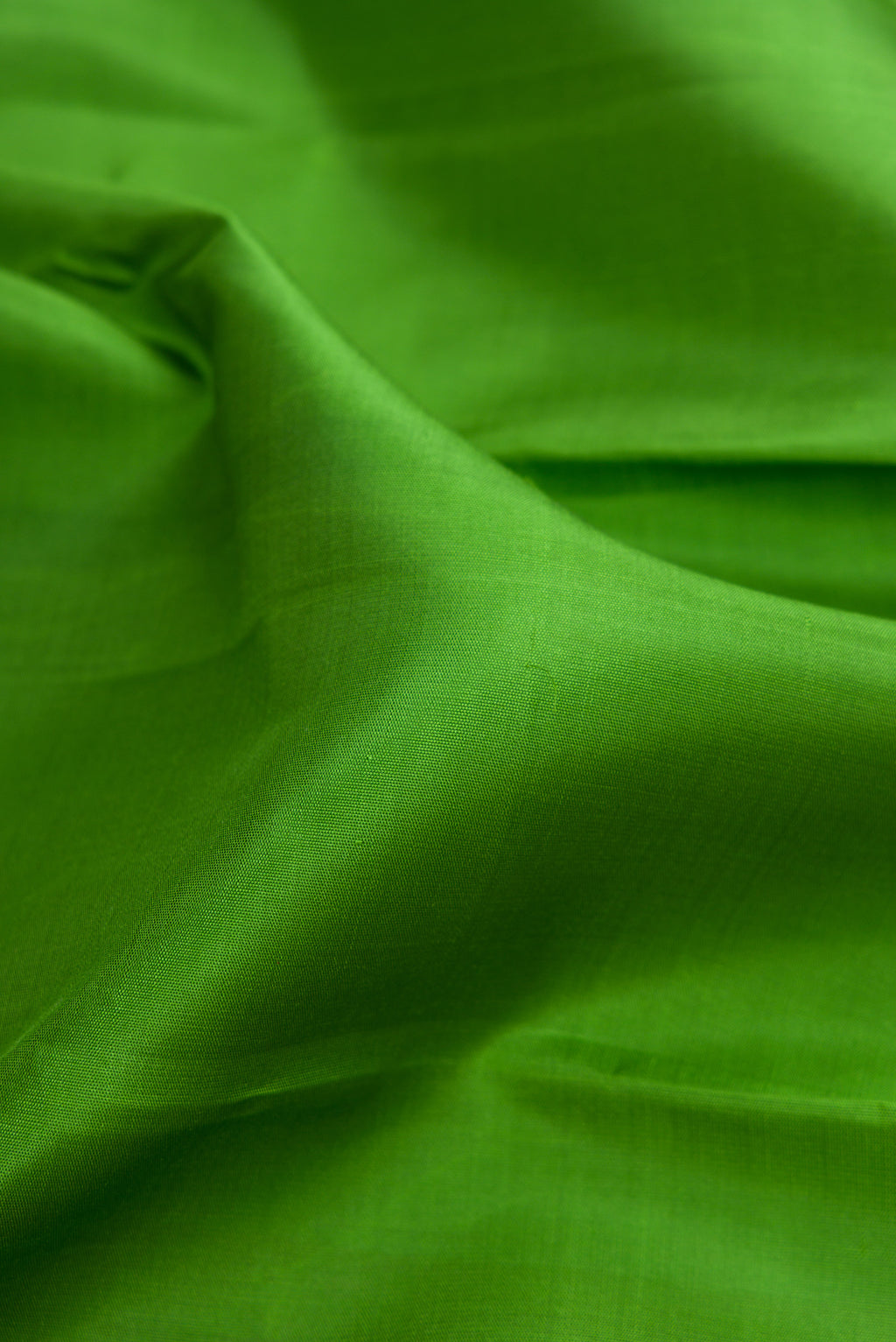 Close up of Green Kanjivaram Silk Saree with Plain Body and Zari Border.  displaying folds