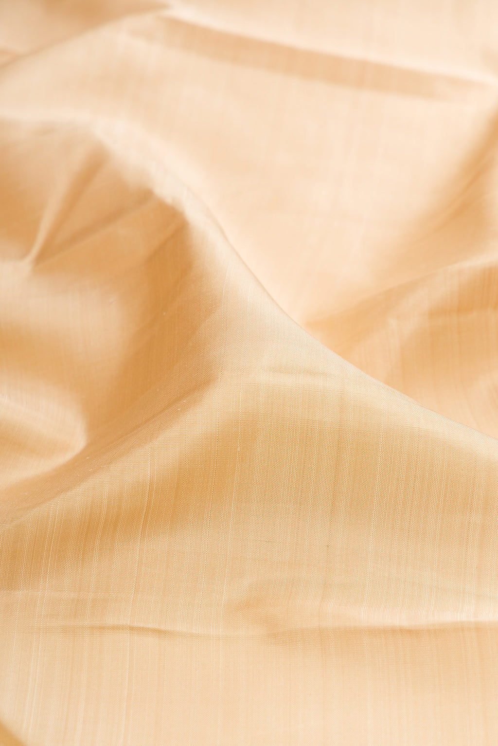 Close up of Pure Silk Pure Zari Beige Kanchipuram Saree with Plain Body and Checks Border.  displaying folds