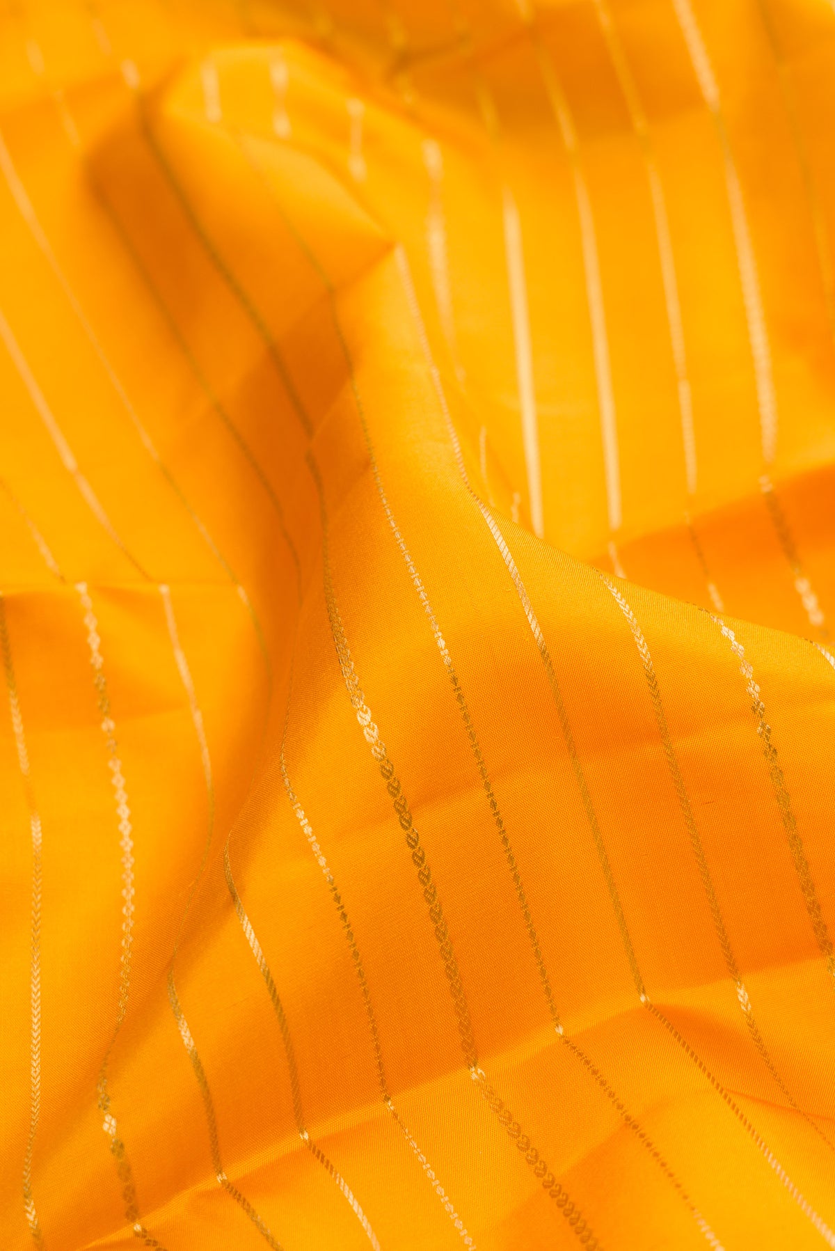 Close up of Mustard Kanjivaram Silk Saree with Veldhari on the body and Fancy Border.  displaying folds