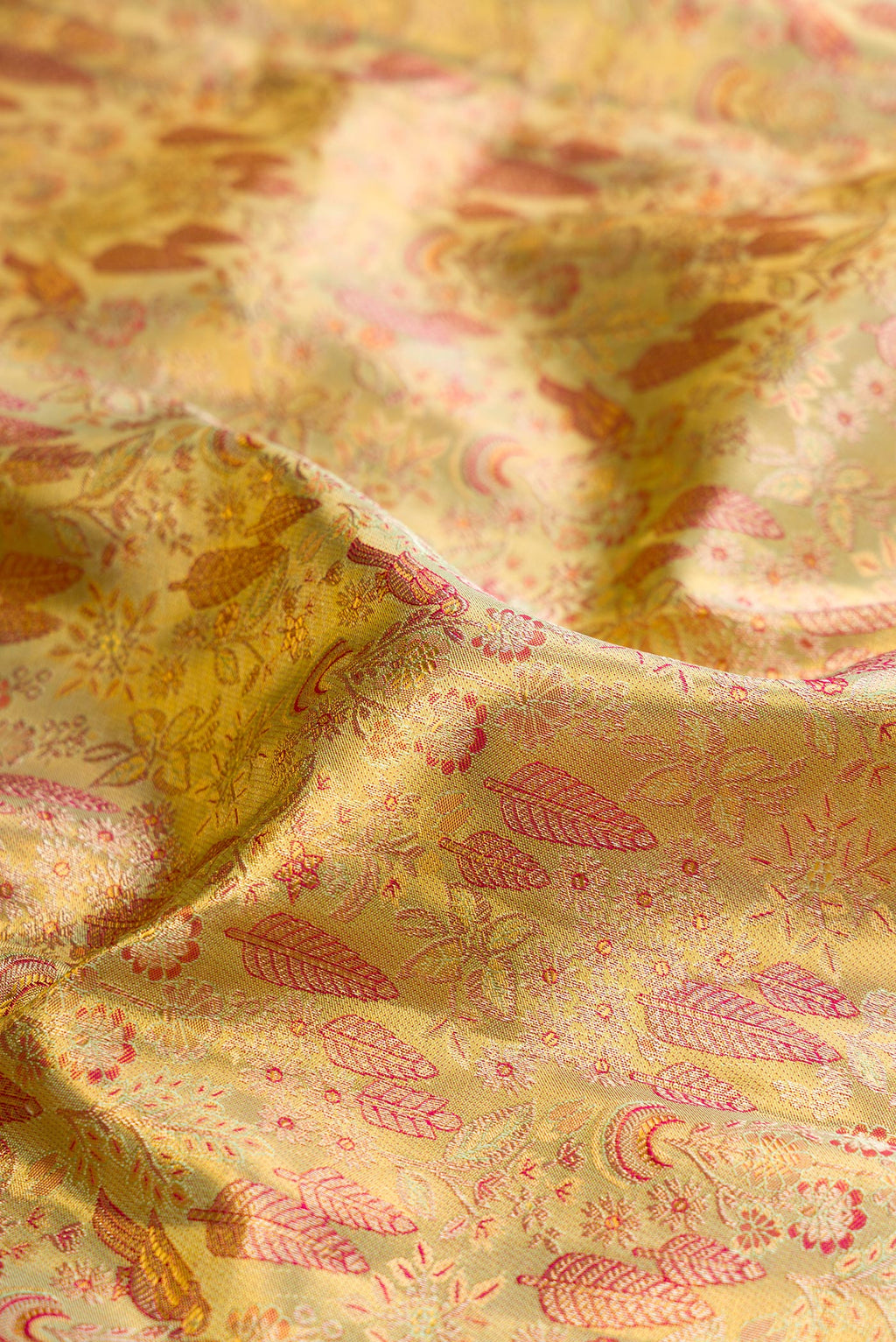 Close up of Pure Silk Gold Kanchipuram Tissue Saree with Zari Brocade on the body and Zari Border.  displaying folds