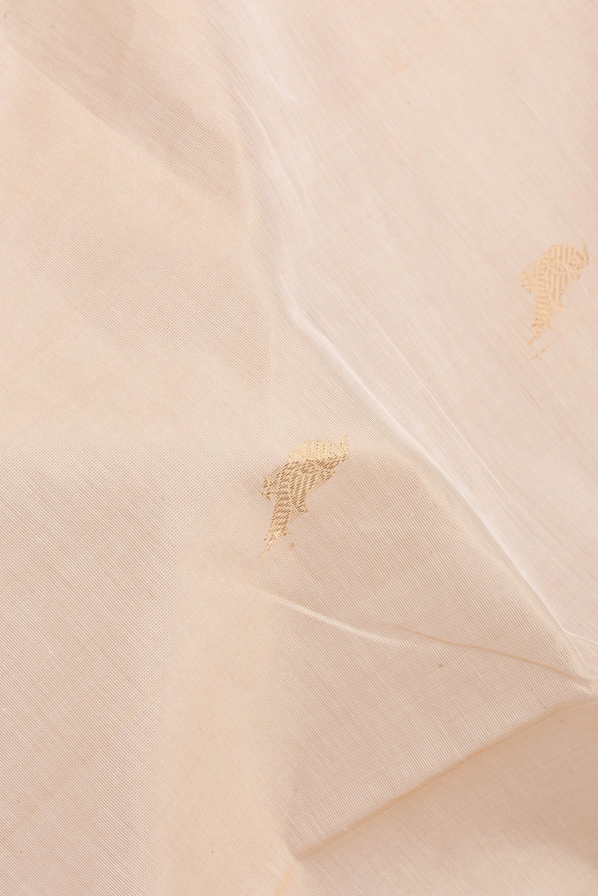 Close up of Beige Silk Cotton Saree with Zari Butta on the body and Fancy Border.  displaying folds