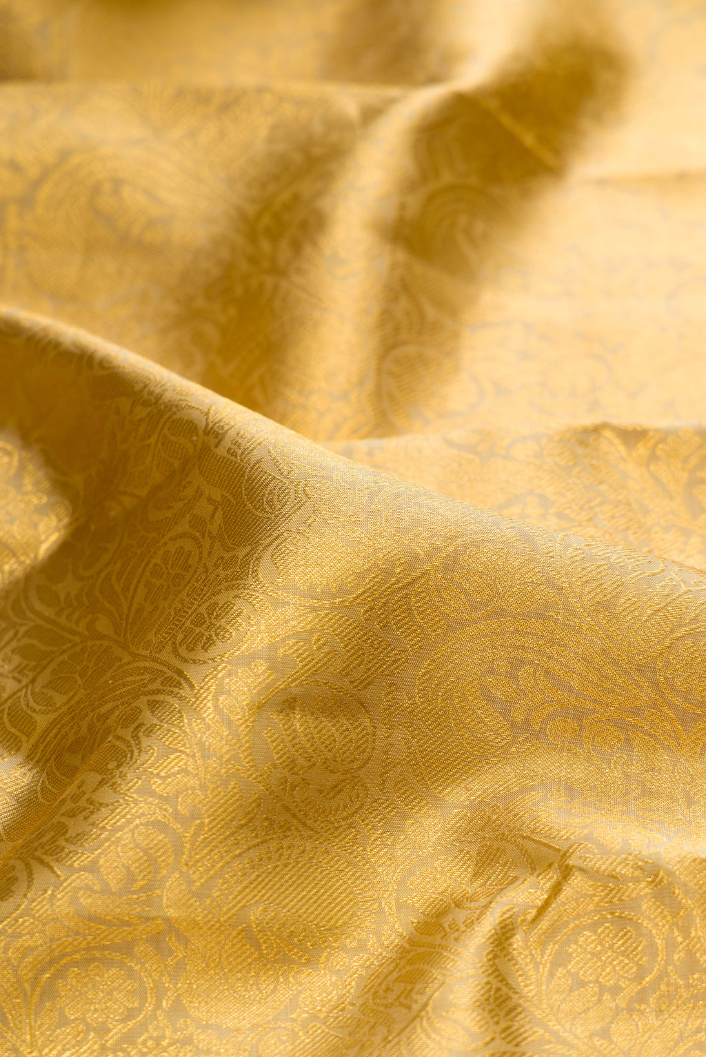 Close up of Gold Kanchipuram Silk Saree with Zari Brocade on the body and Zari Border.  displaying folds