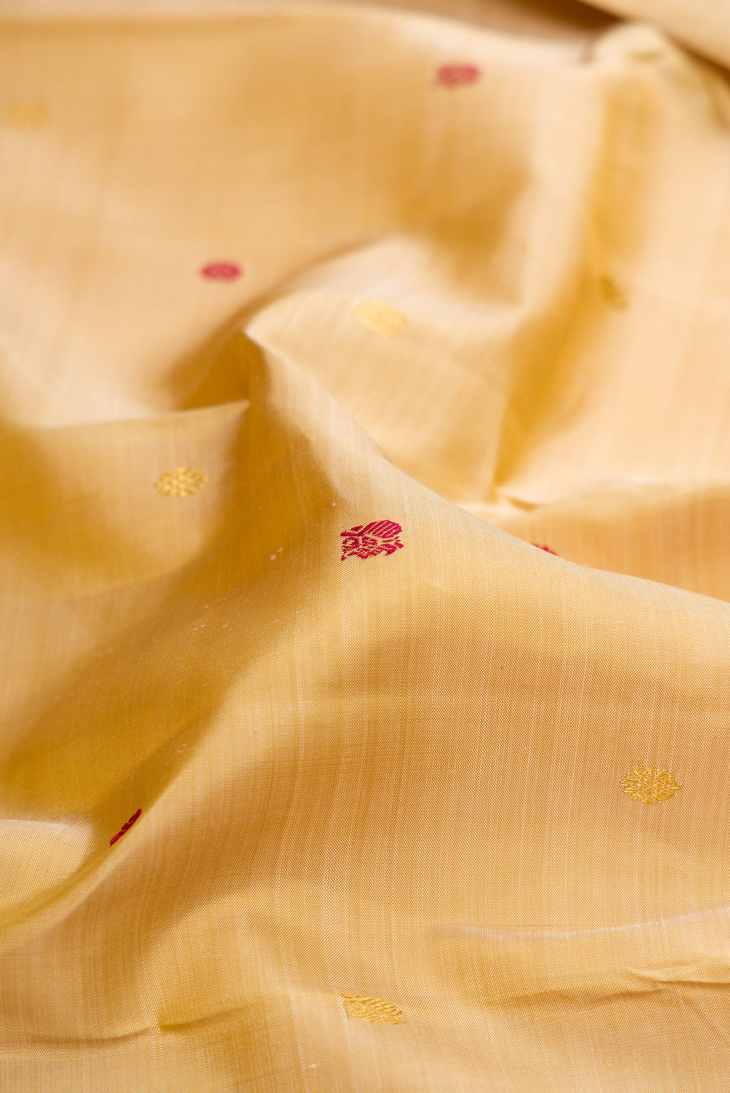 Close up of Beige Kanjivaram Silk Saree with Zari And Thread Butta on the body and Without Border.  displaying folds