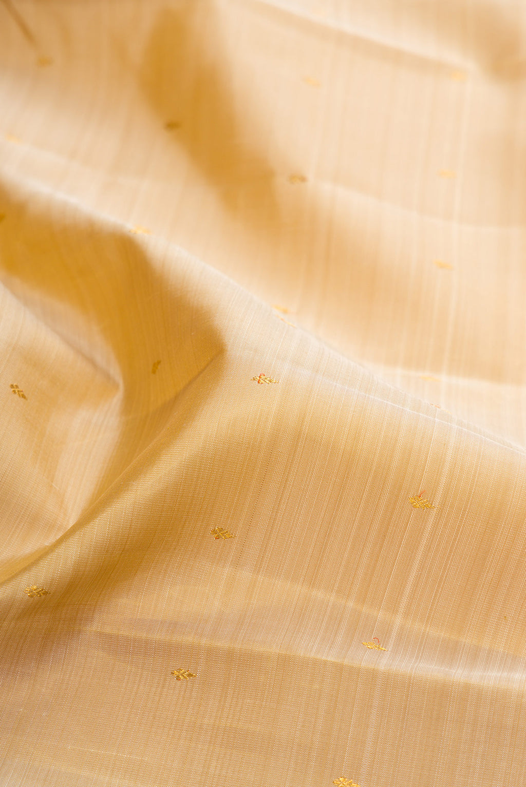 Close up of Dark Beige Kanjivaram Silk Saree with Zari Butta on the body and Zari Border.  displaying folds