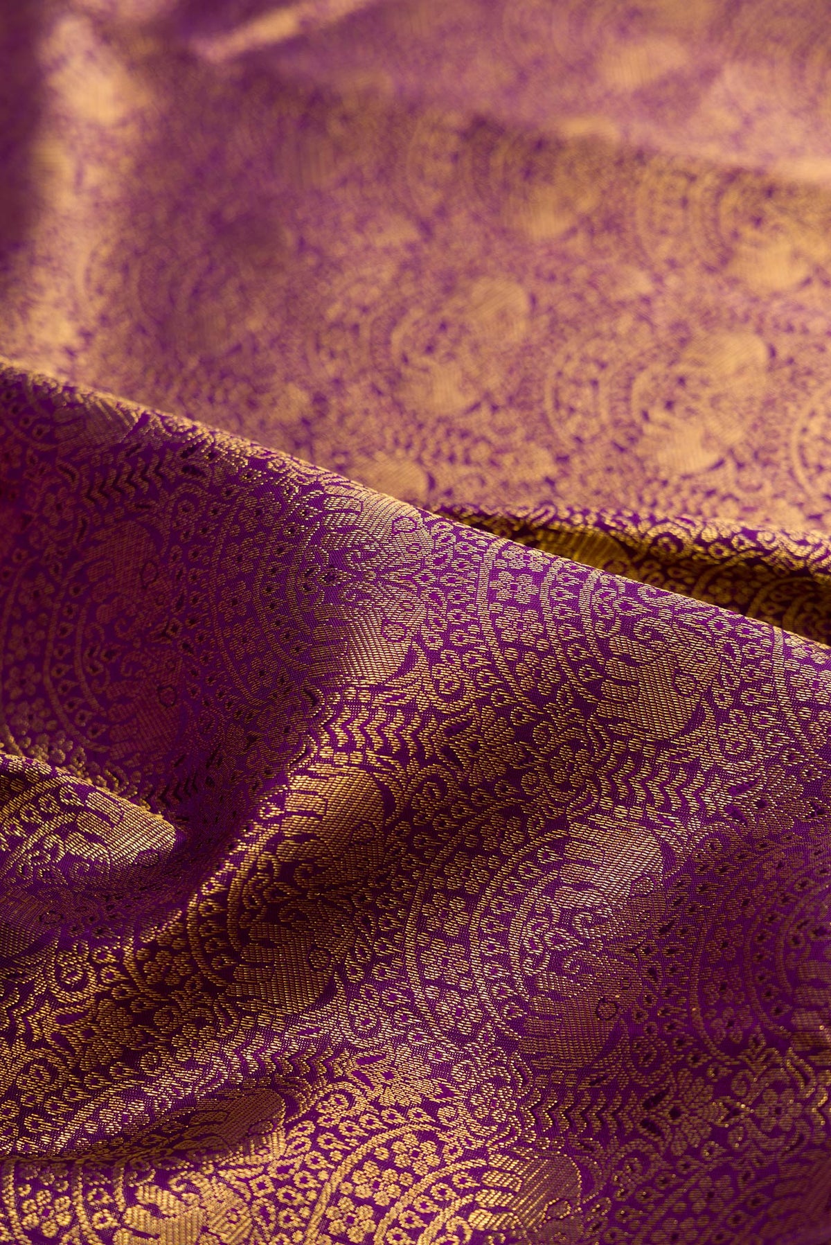 Close up of Pure Silk Purple Kanchipuram Saree with Zari Brocade on the body and Zari Border.  displaying folds