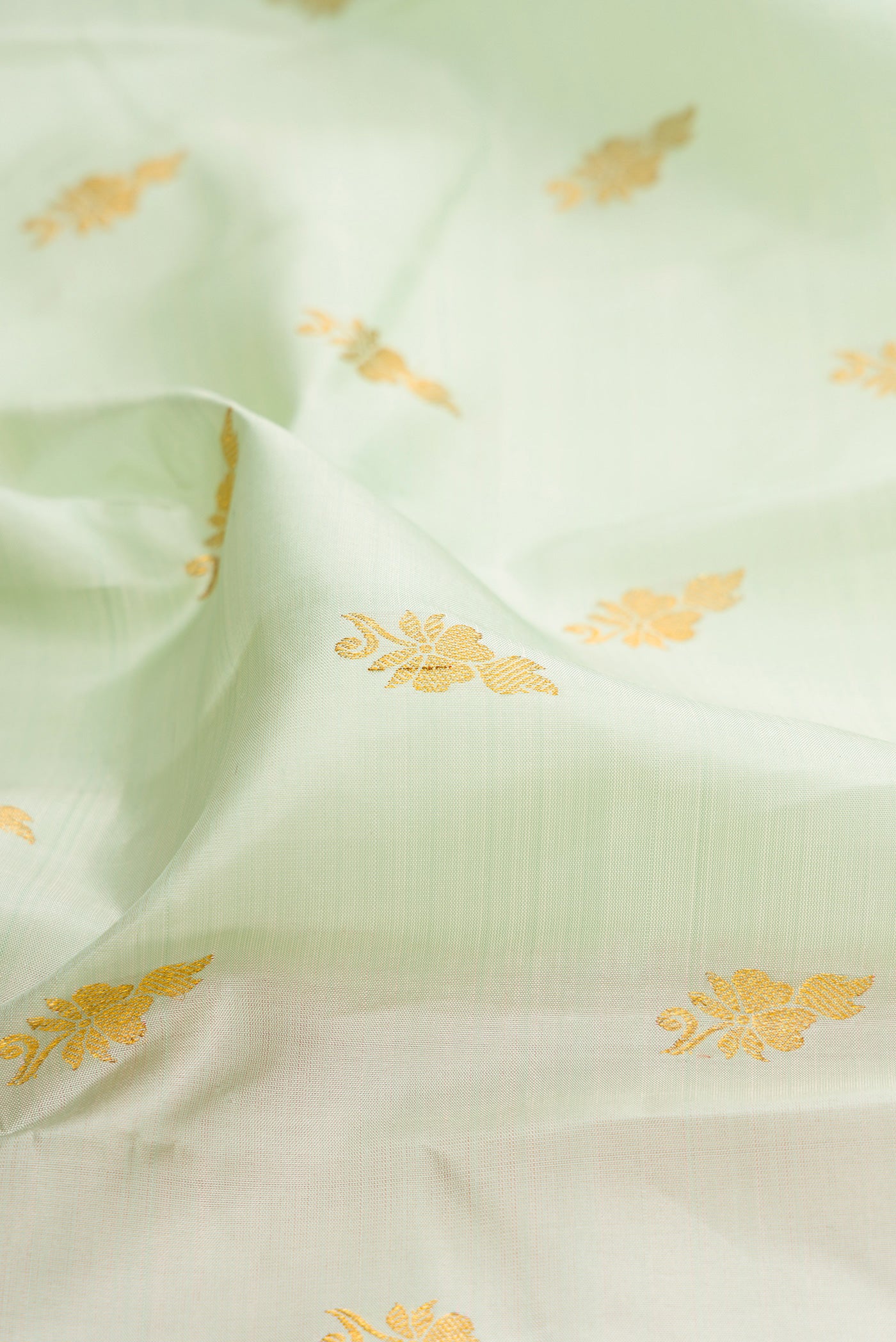 Close up of Light Green Kanchipuram Silk Saree with Zari Butta on the body and Zari Border.  displaying folds