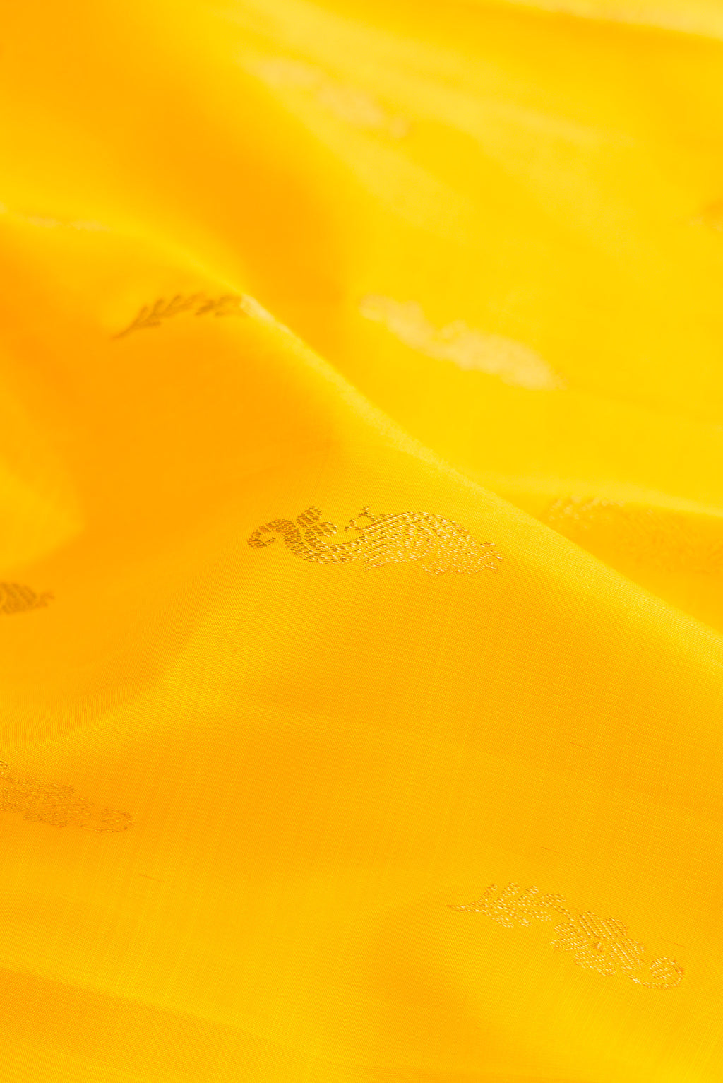 Close up of Yellow Kanjivaram Silk Saree with Zari Butta on the body and Zari Border.  displaying folds