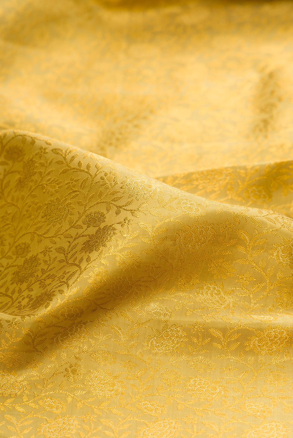 Close up of Pure Silk Gold Kanchipuram Saree with Zari Brocade on the body and Zari Border.  displaying folds