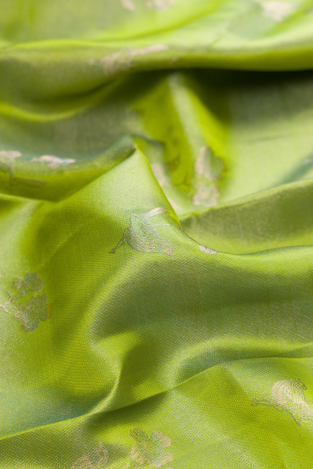 Close up of Green Dual Tone Kanjivaram Tissue Saree with Zari Brocade on the body and Zari Border.  displaying folds