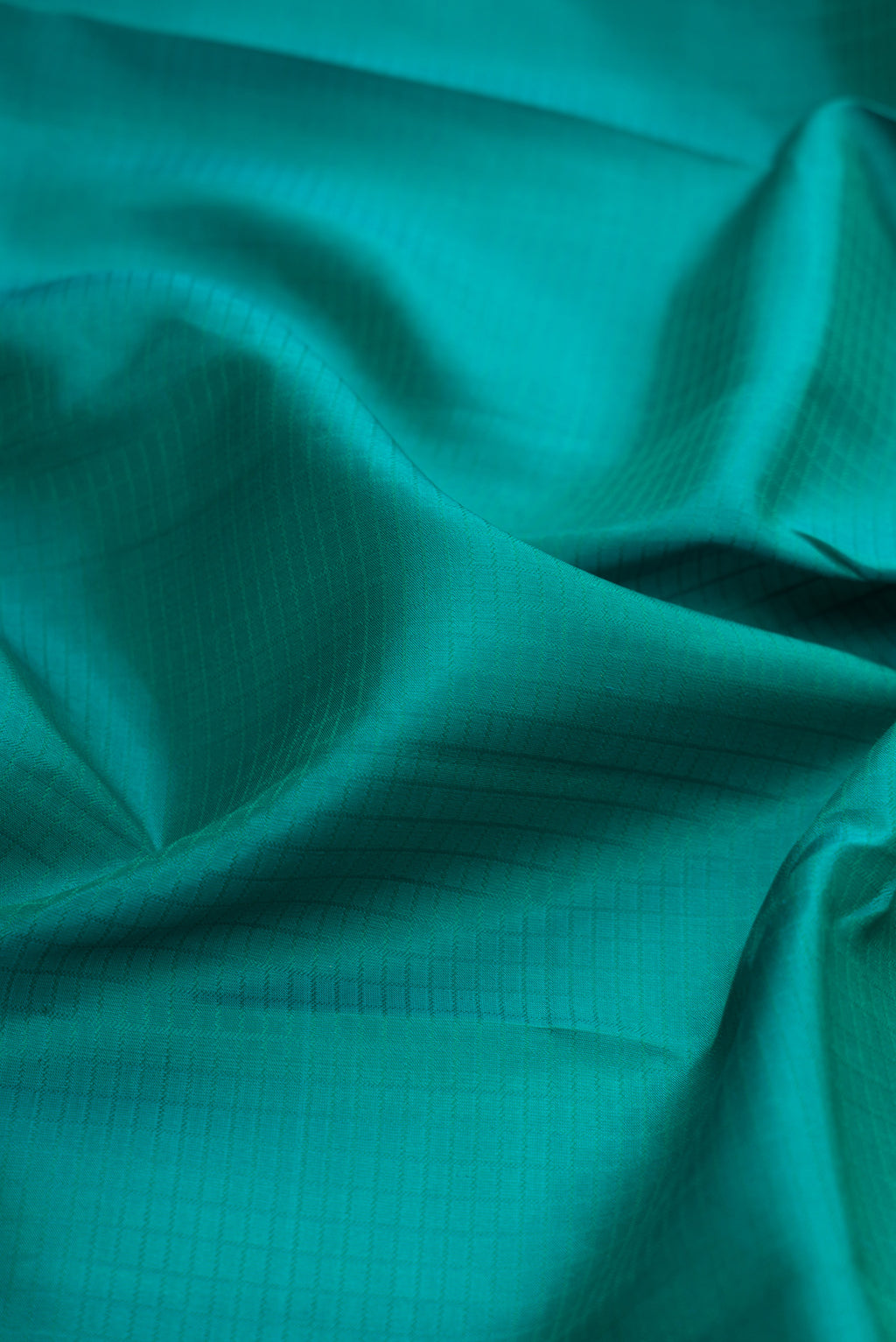 Close up of Green Kanchipuram Silk Saree with Checked design on the body and Zari Border.  displaying folds