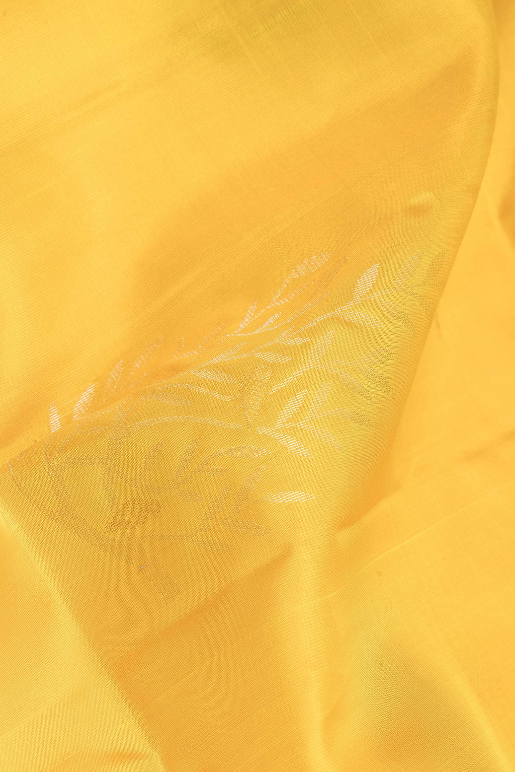 Close up of Yellow Soft Silk Saree with Zari Butta on the body and Zari Border.  displaying folds
