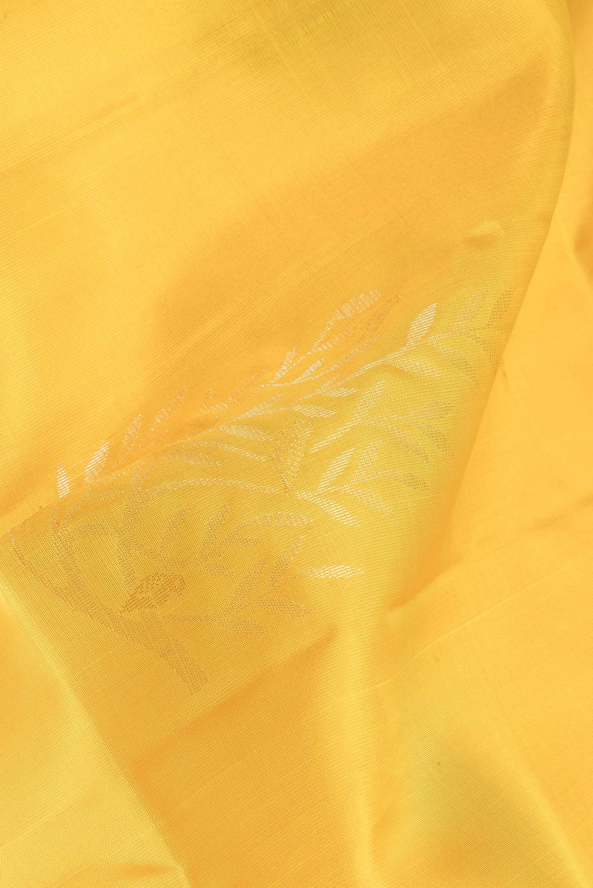 Close up of Yellow Soft Silk Saree with Zari Butta on the body and Zari Border.  displaying folds