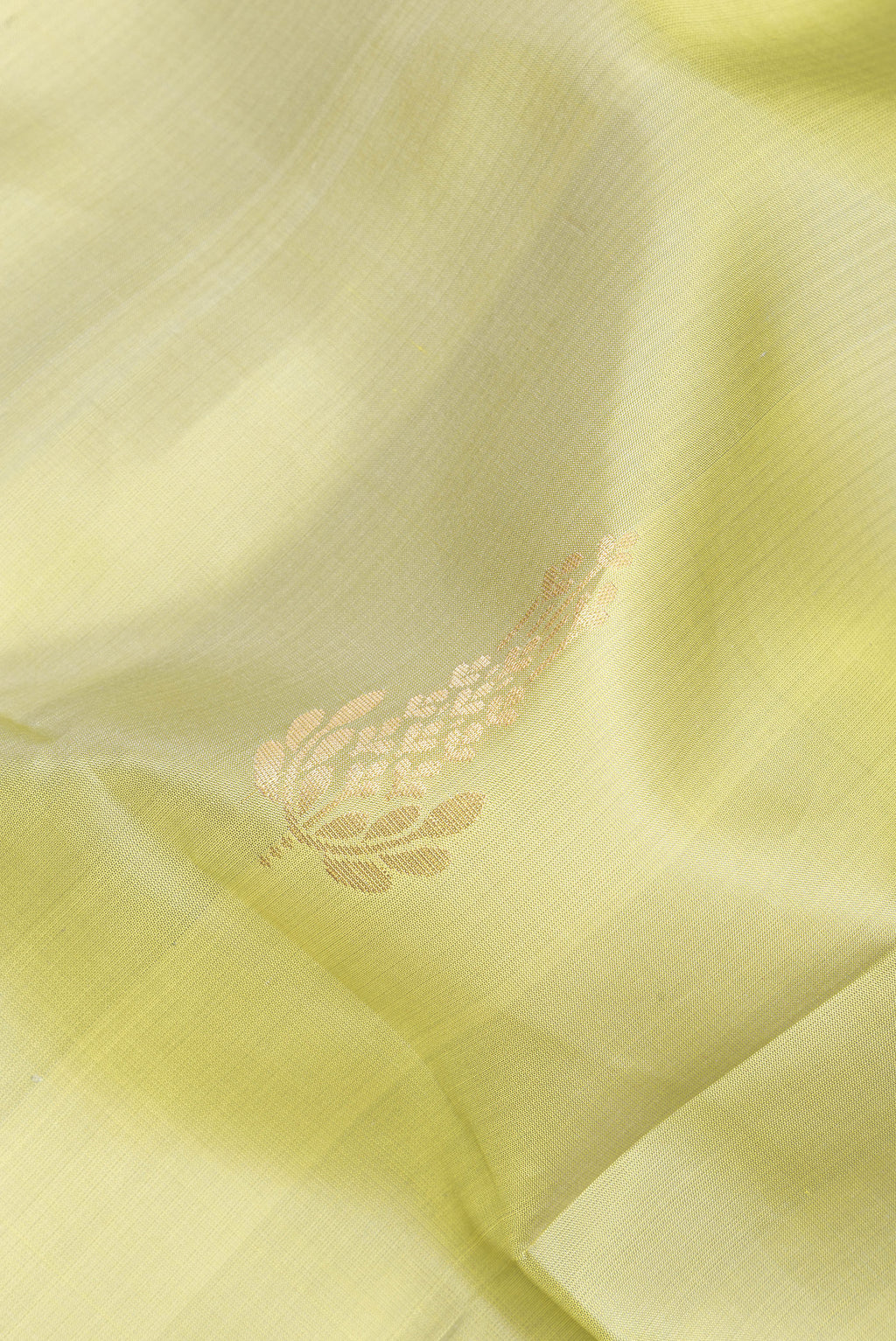 Close up of Pure Silk Pista Green Soft Saree with Zari Butta on the body and Zari Border.  displaying folds