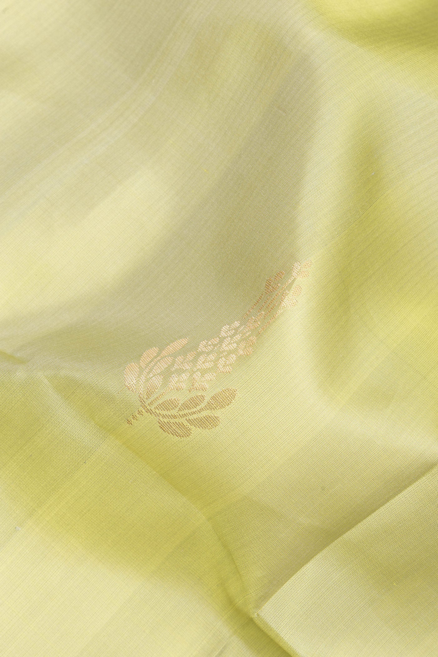 Close up of Pure Silk Pista Green Soft Saree with Zari Butta on the body and Zari Border.  displaying folds
