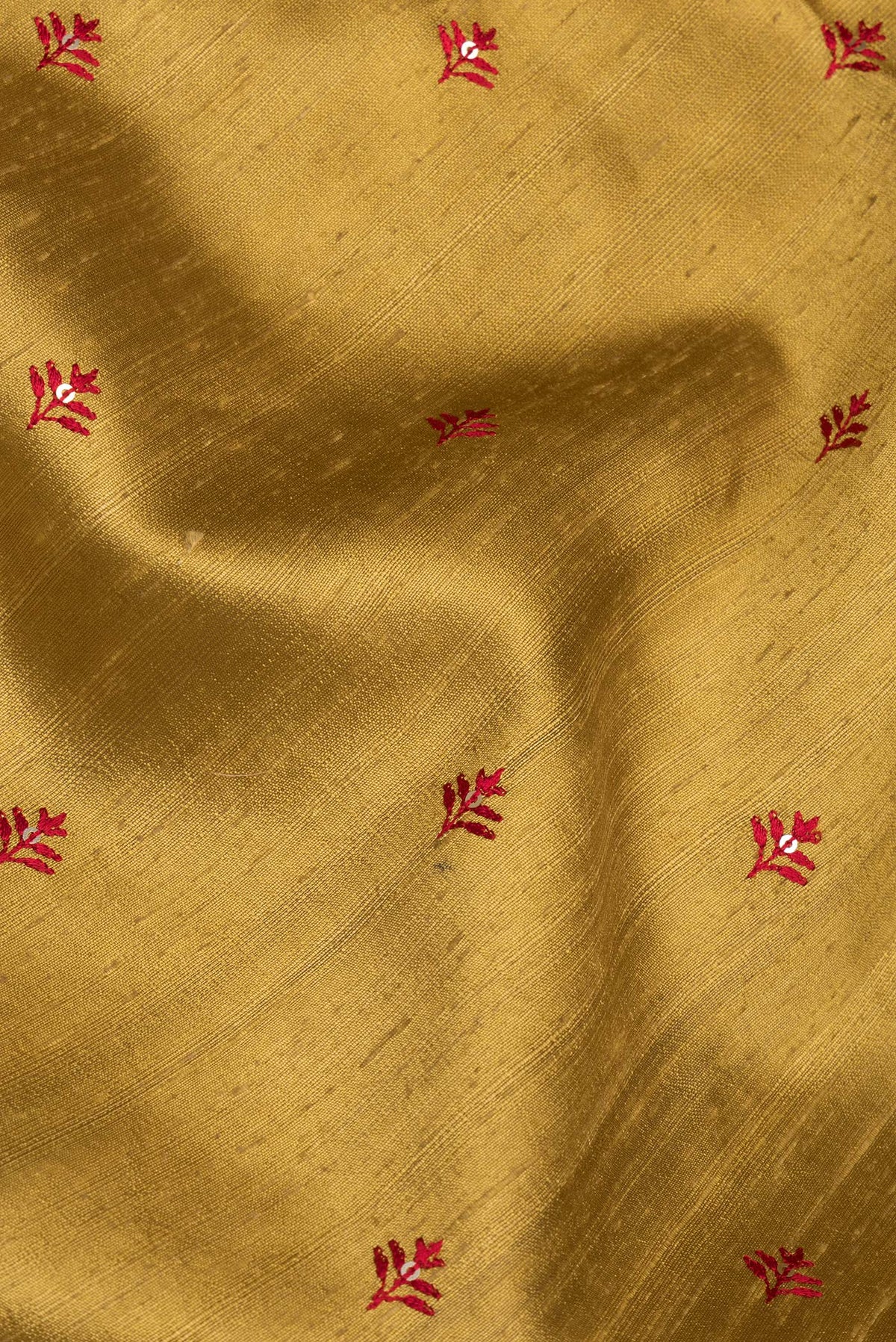 Close up of Pure Silk Gold Dual Tone Raw Saree with Embroidery on the body and Zari Border.  displaying folds