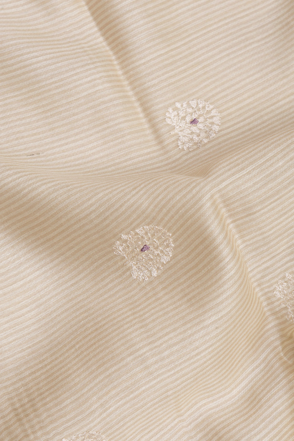 Close up of Cream Tussar Saree with Embroidery on the body and Embroidery Border.  displaying folds
