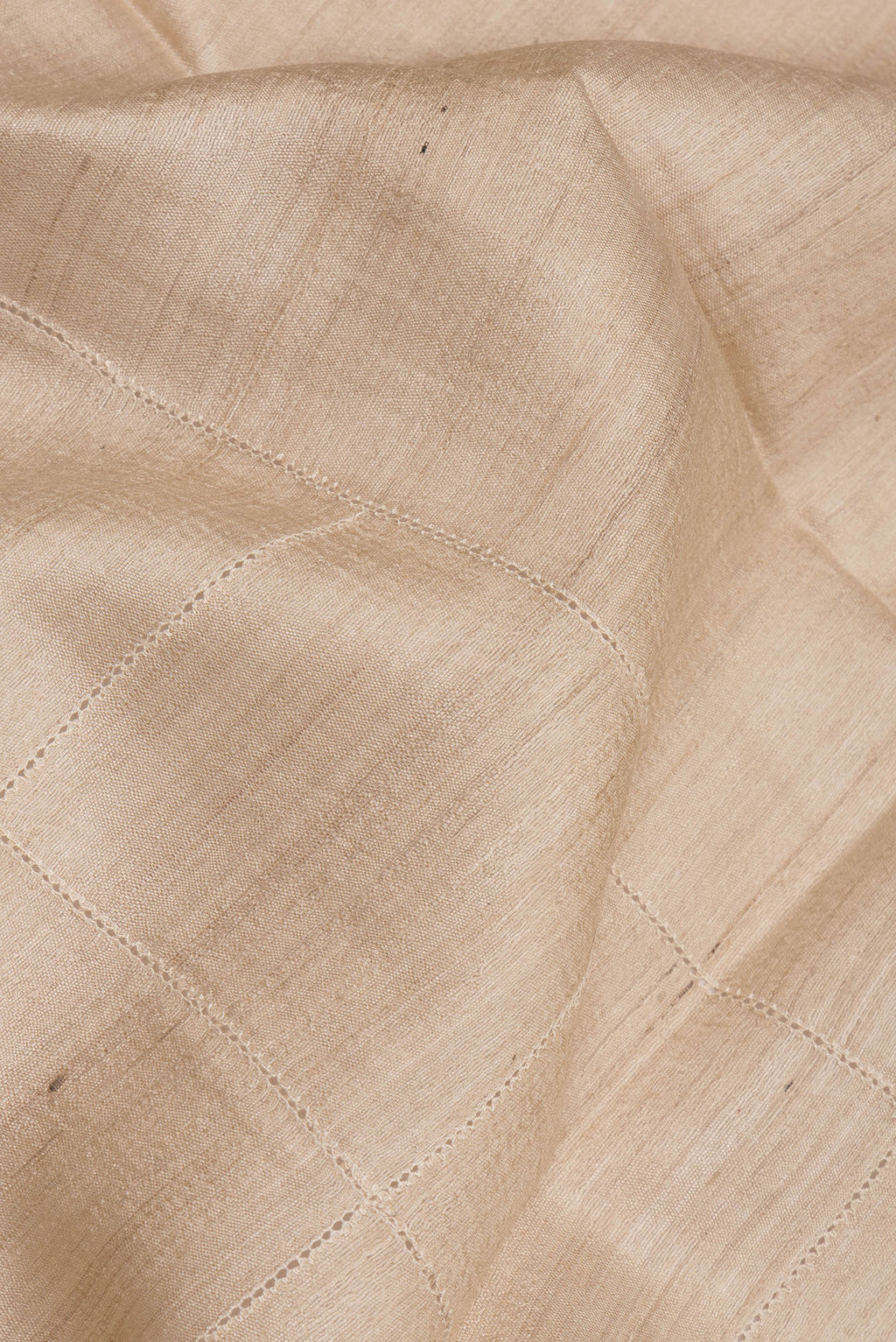 Close up of Pure Silk Beige Tussar Saree with Checked design on the body and Embroidery Border.  displaying folds