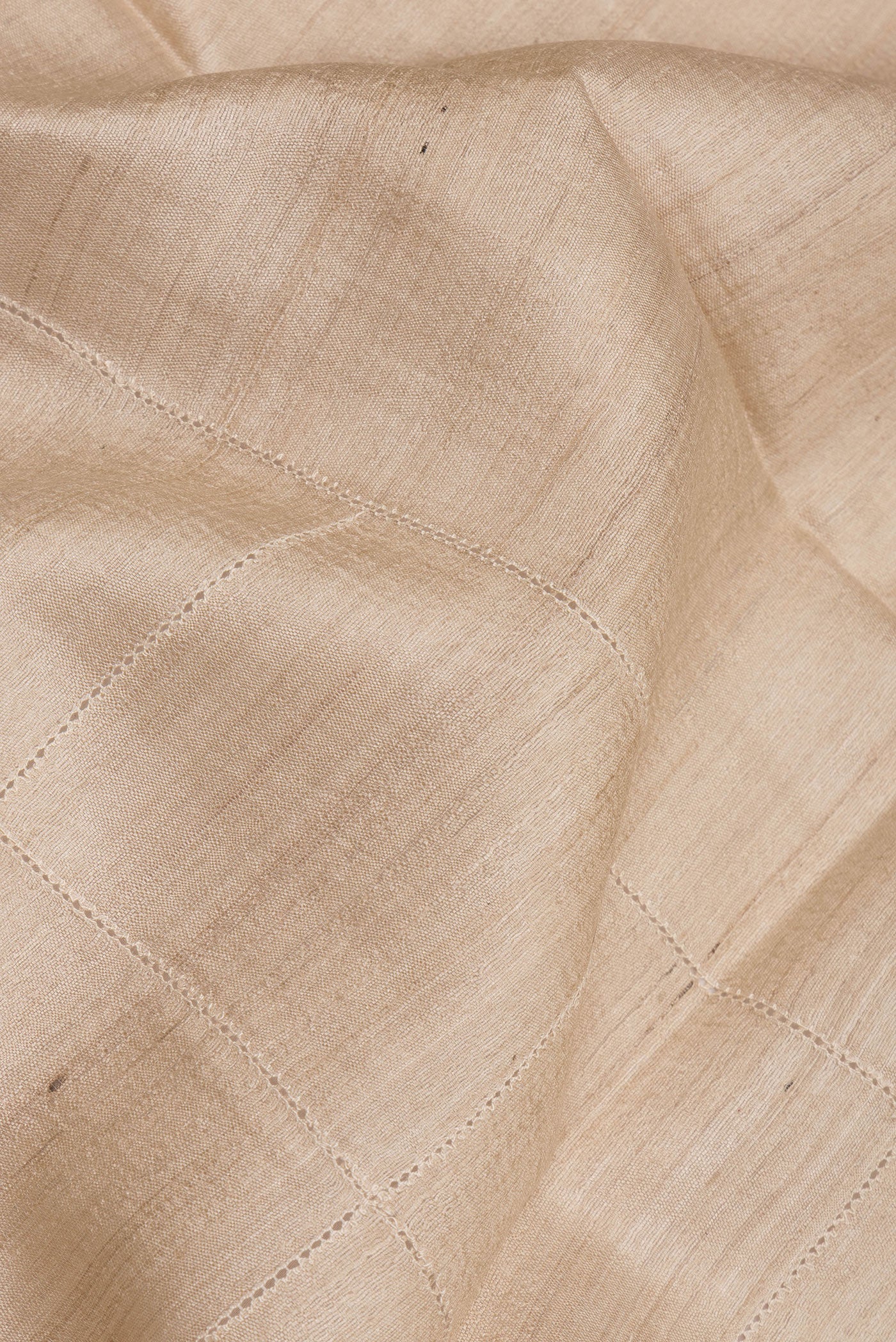 Close up of Pure Silk Beige Tussar Saree with Checked design on the body and Embroidery Border.  displaying folds