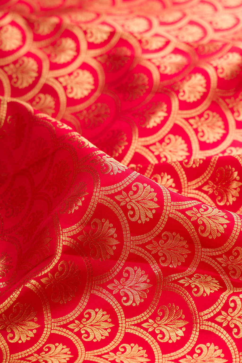 Close up of Red Kanchipuram Silk Saree with Zari Brocade on the body and Zari Border.  displaying folds