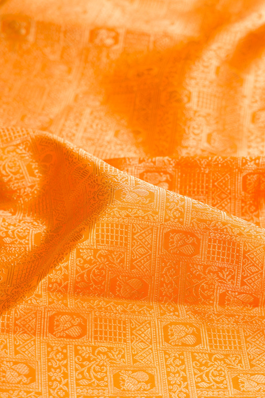 Close up of Pure Silk Yellow Kanchipuram Saree with Zari Brocade on the body and Zari Border.  displaying folds