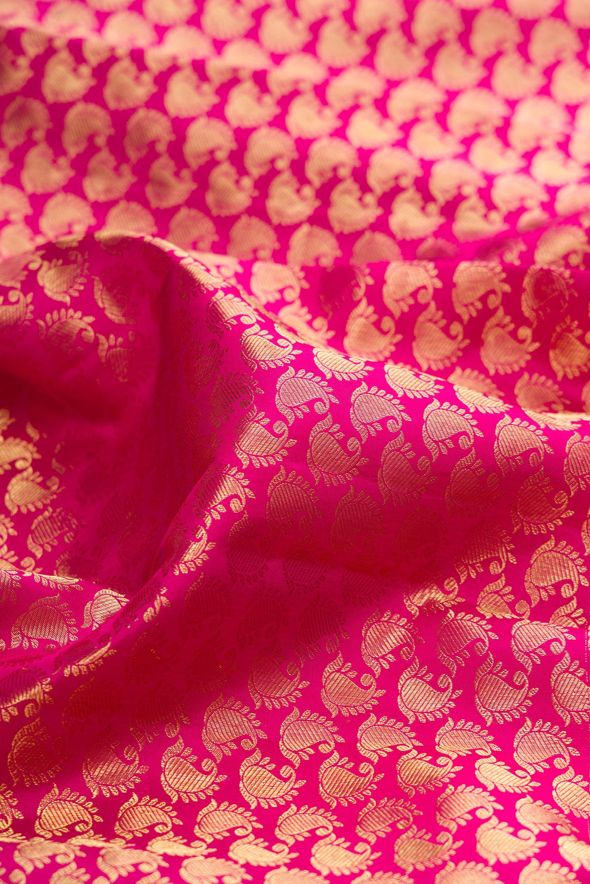 Close up of Rani Pink Kanchipuram Silk Saree with Zari Brocade on the body and Zari Border.  displaying folds