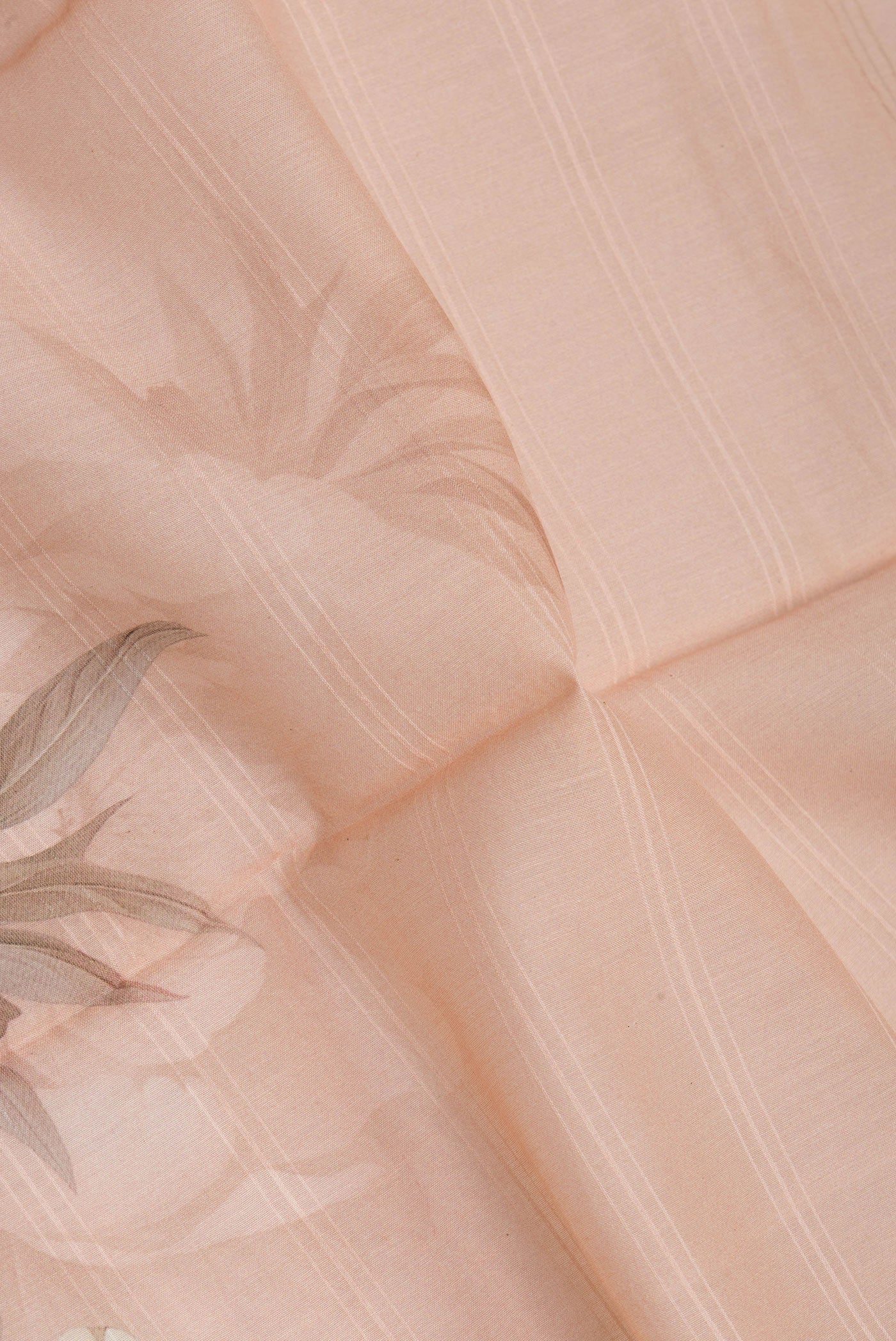 Close up of Golden Peach Chanderi Silk Cotton Saree with Printed design on the body and Zari Border.  displaying folds
