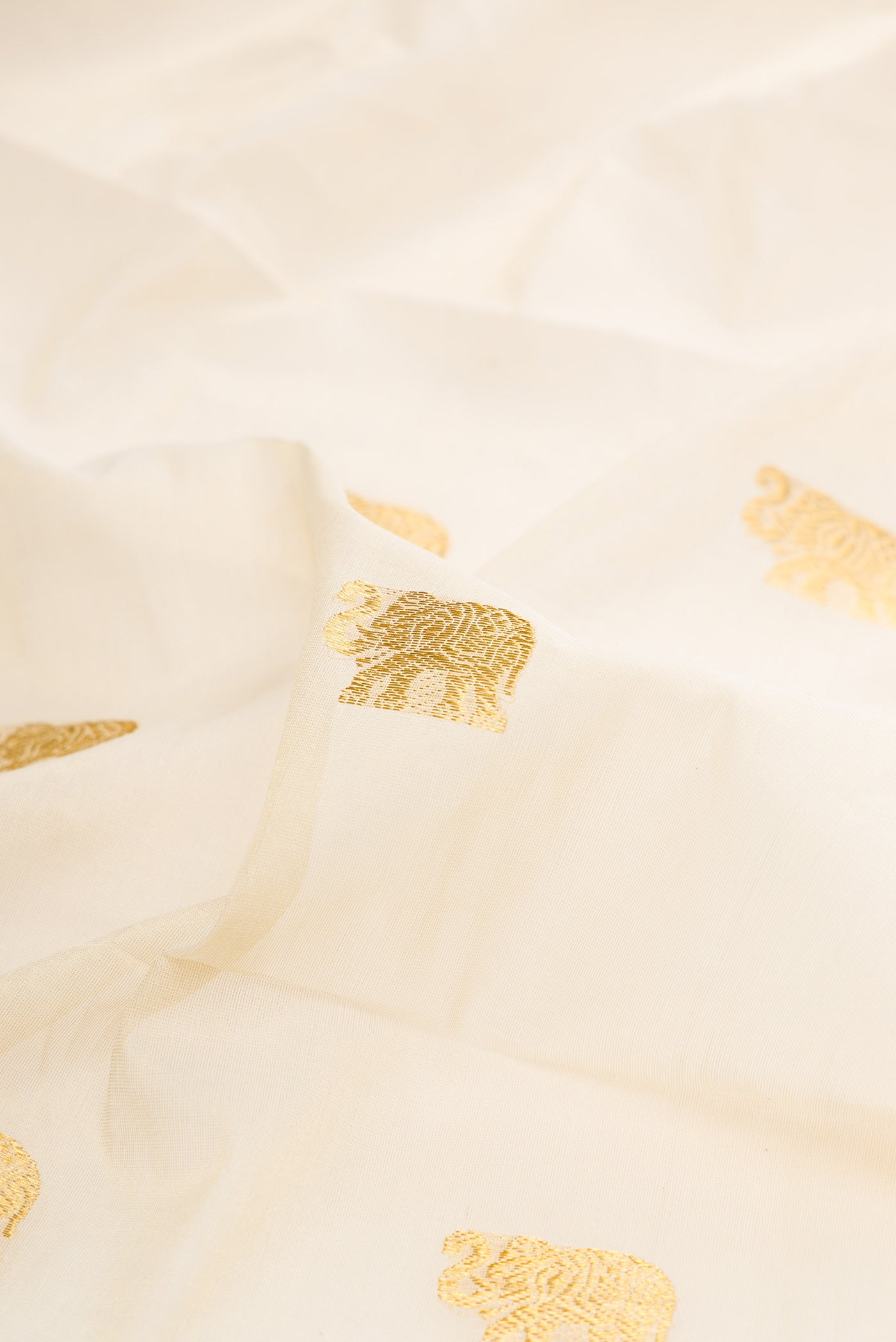 Close up of Pure Silk Off White Kerala Cotton Saree with Zari Butta on the body and Zari Border.  displaying folds