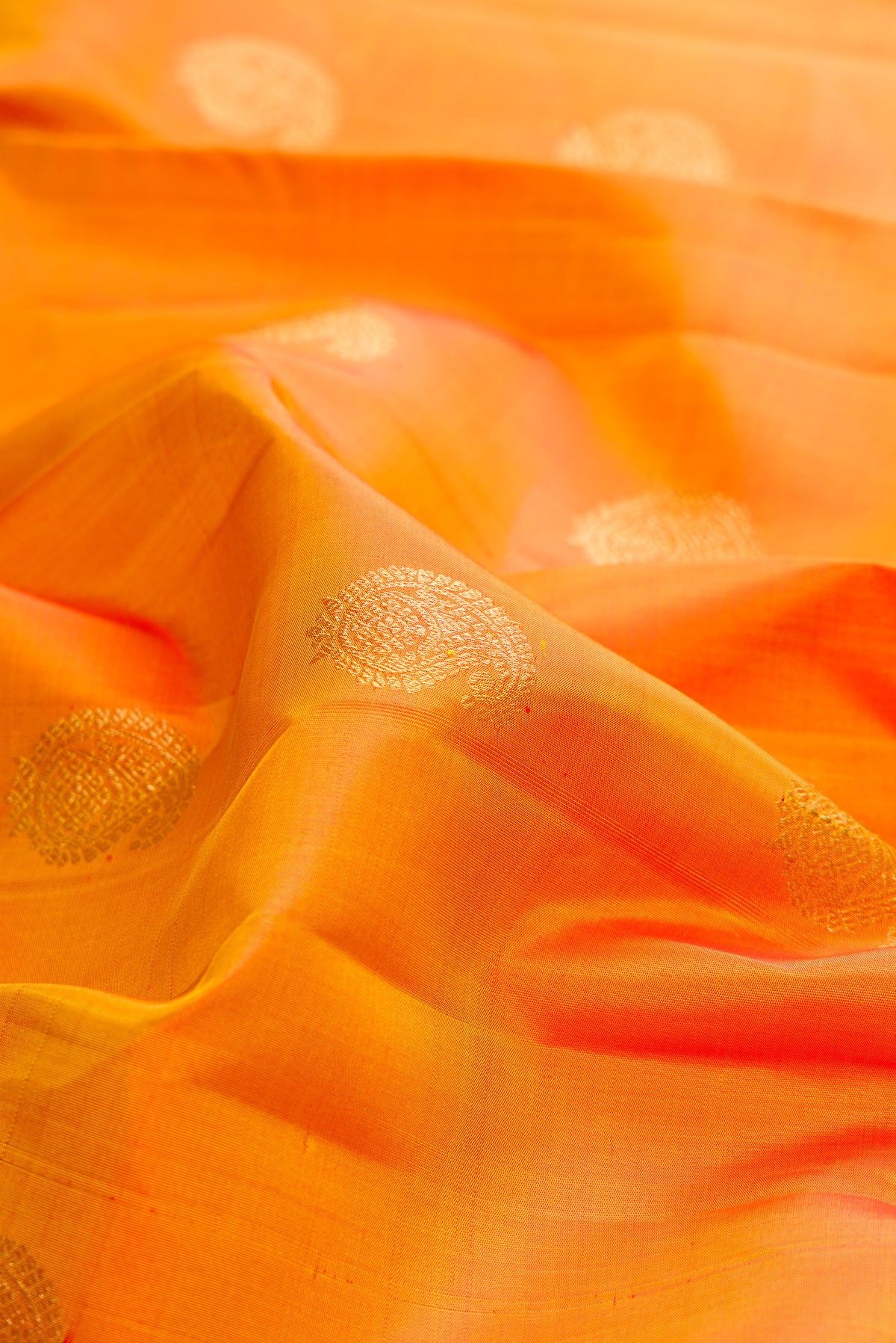 Close up of Pure Silk Mustard Kanchipuram Saree with Zari Butta on the body and Zari Border.  displaying folds