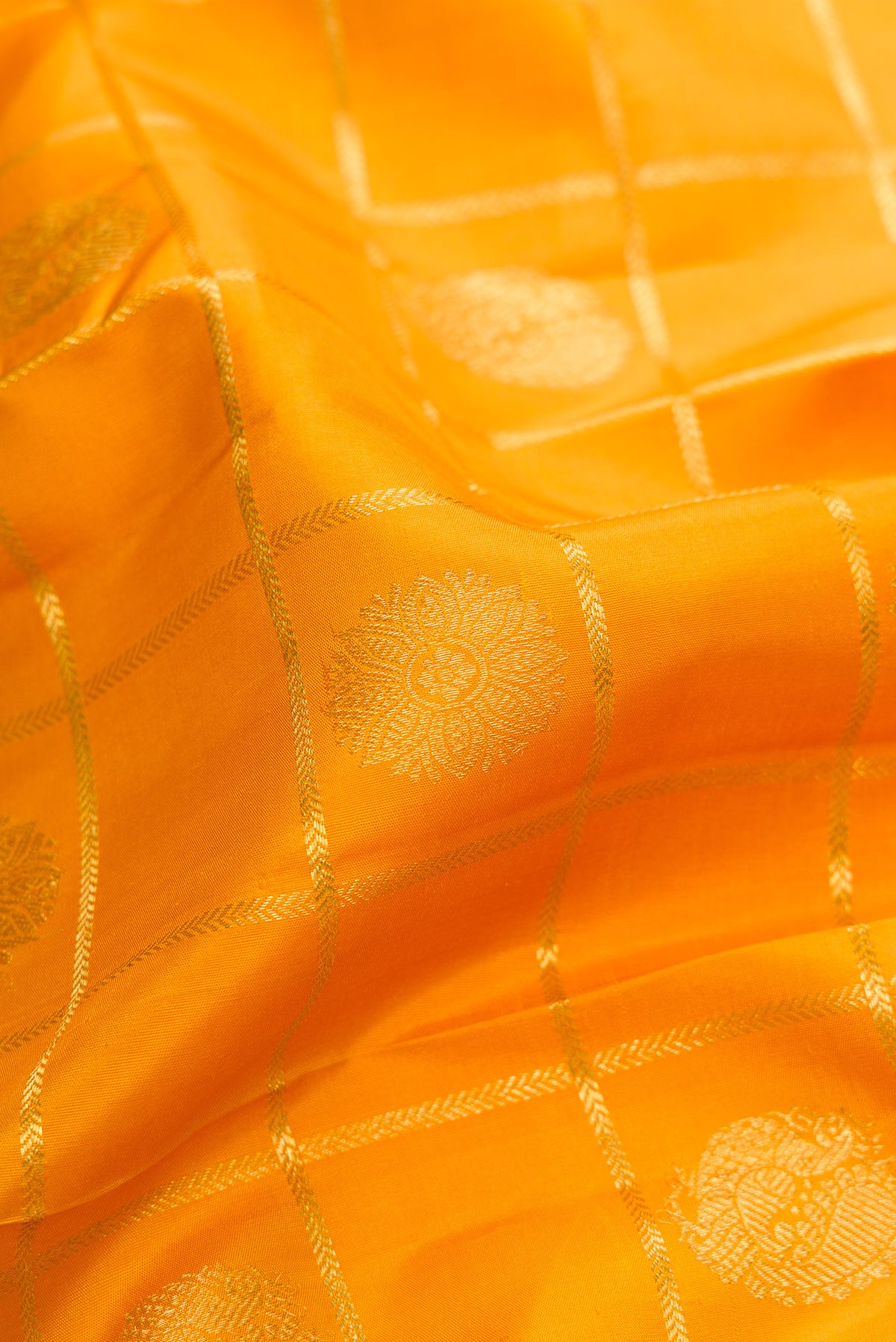 Close up of Pure Silk Mustard Kanchipuram Saree with Checked design on the body and Zari Border.  displaying folds